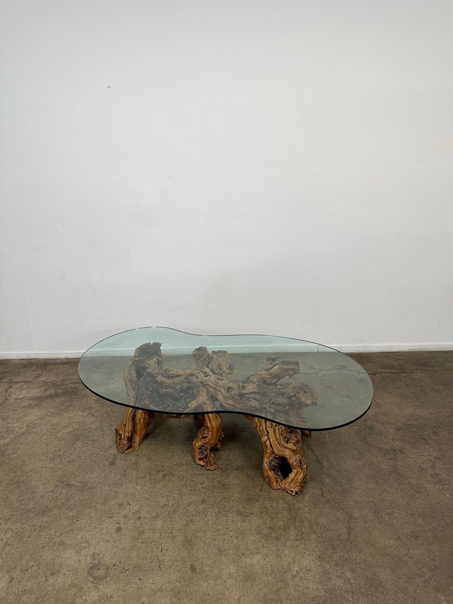 Mid-Century Modern Burled Driftwood Coffee Table with Amorphic Glass Top 1