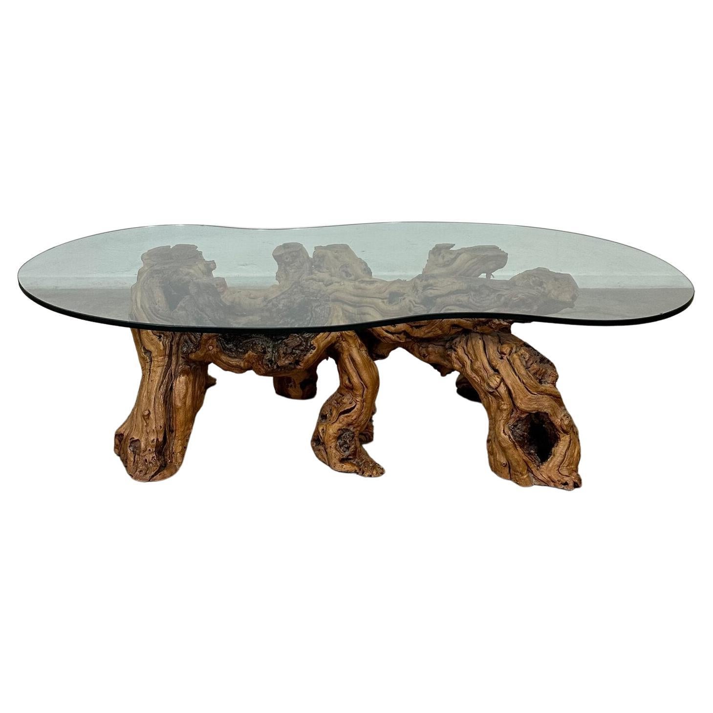 Mid-Century Modern Burled Driftwood Coffee Table with Amorphic Glass Top
