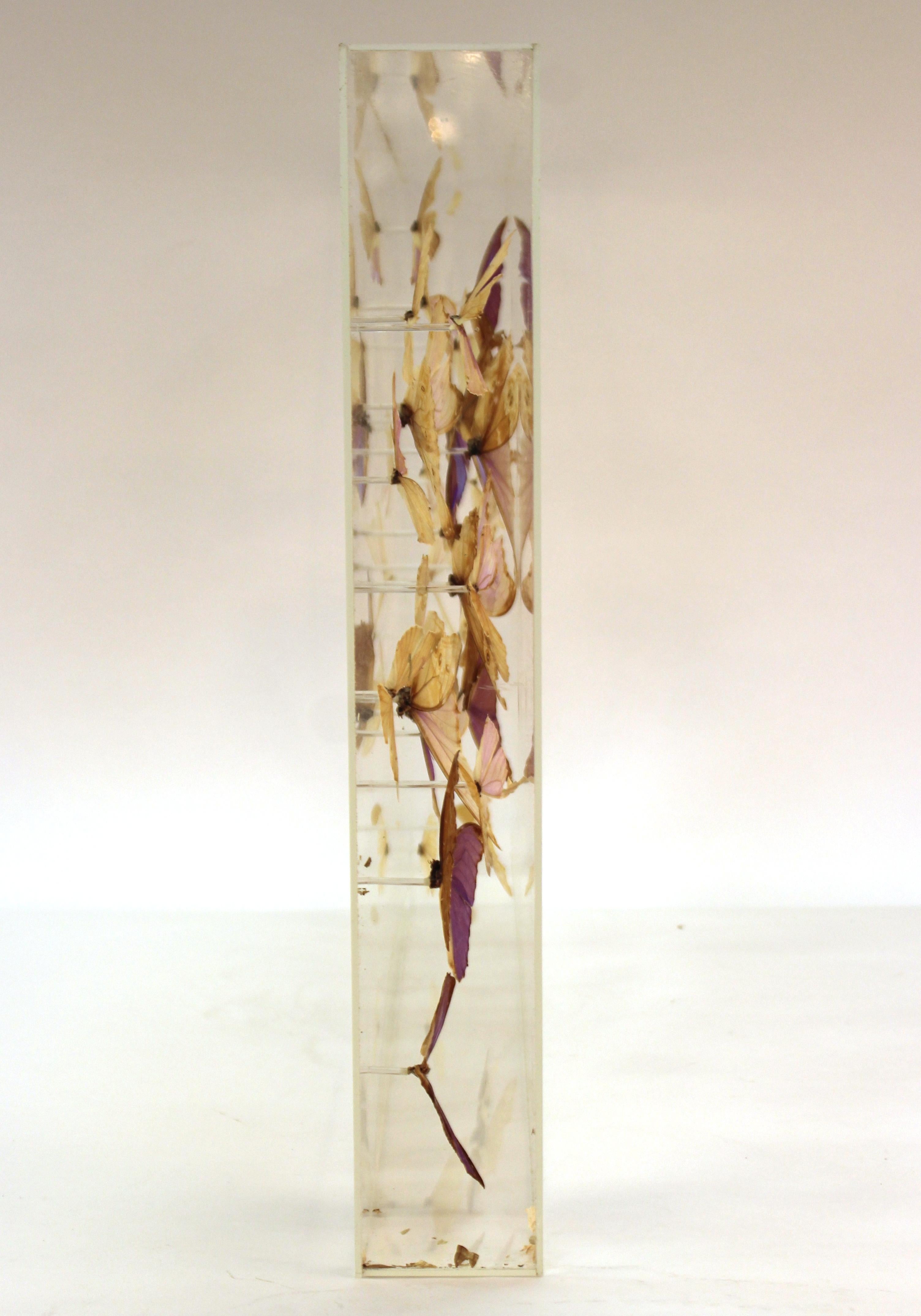 Mid-Century Modern Butterflies Mounted in Lucite Case 5