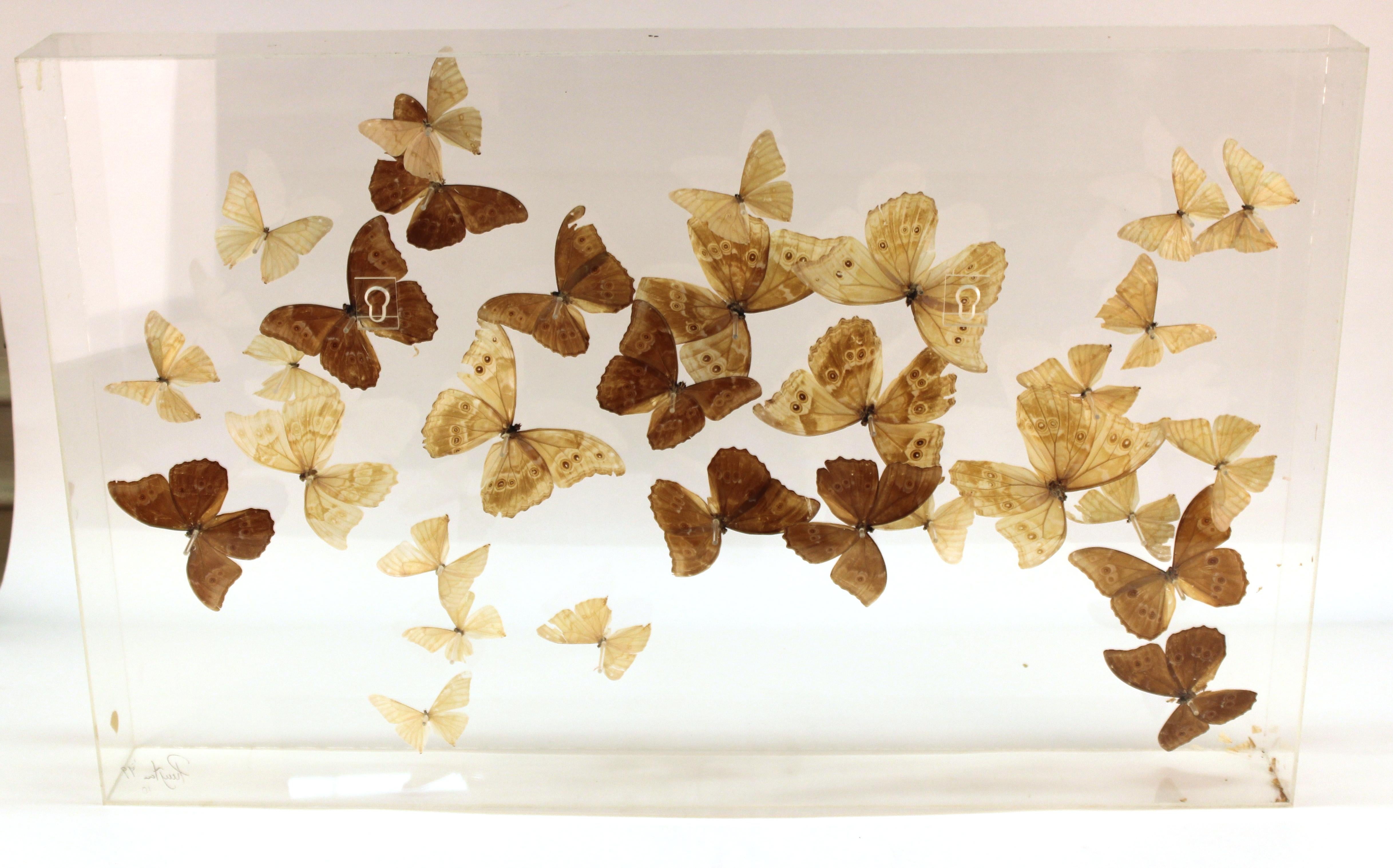 Mid-Century Modern Butterflies Mounted in Lucite Case 7