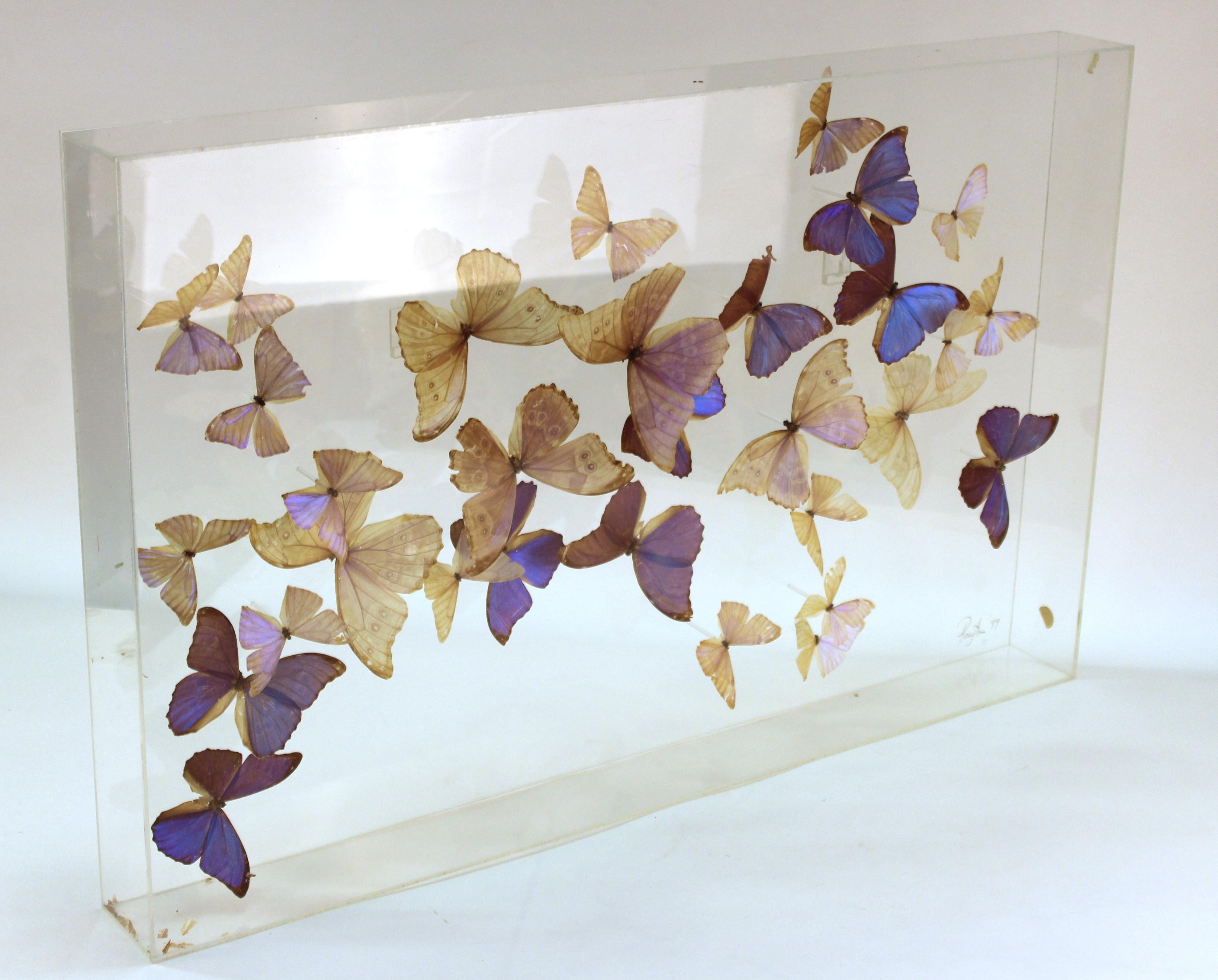 American Mid-Century Modern Butterflies Mounted in Lucite Case