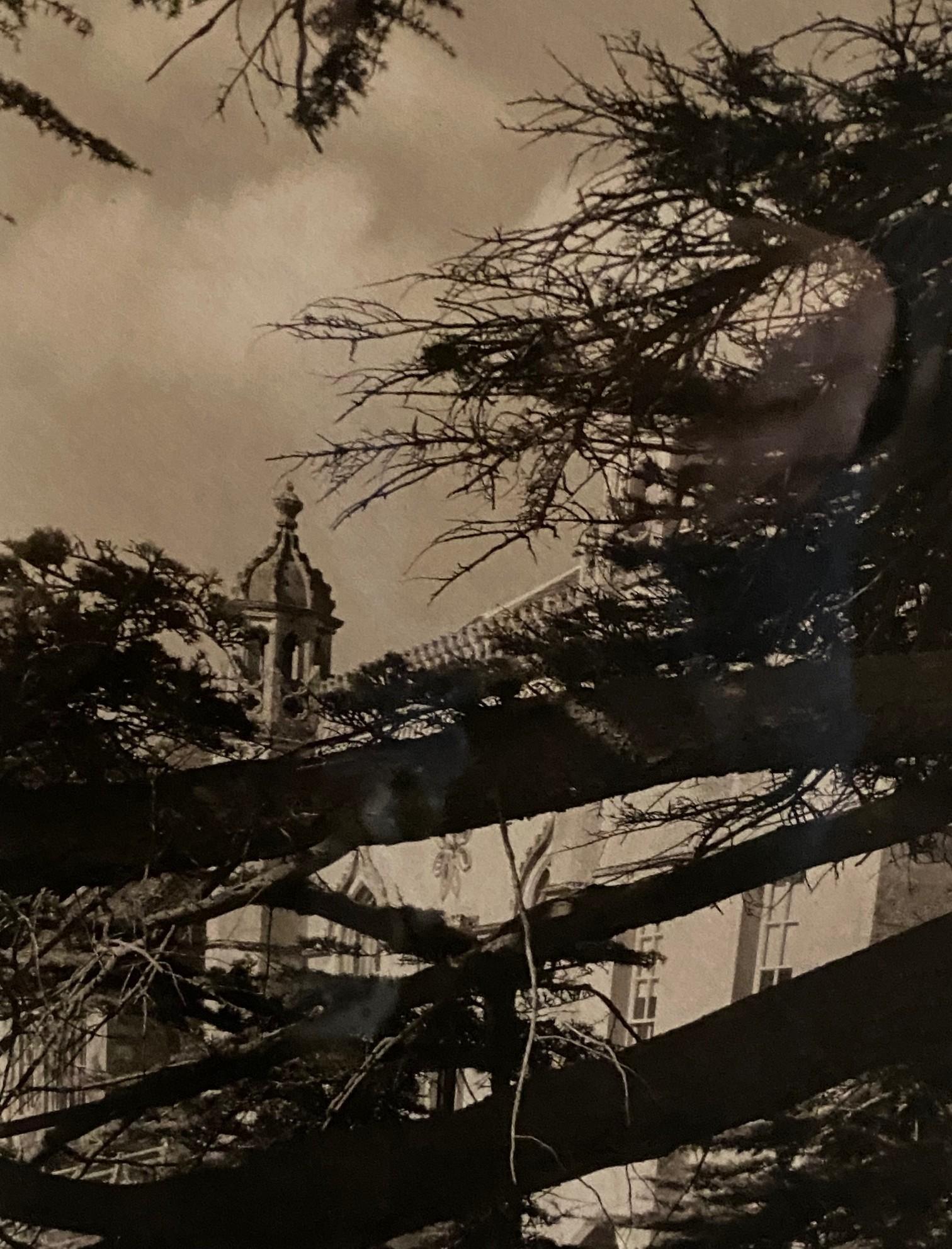 Fotografia alla gelatina d'argento e seppia dell'architettura californiana di metà secolo in vendita 3