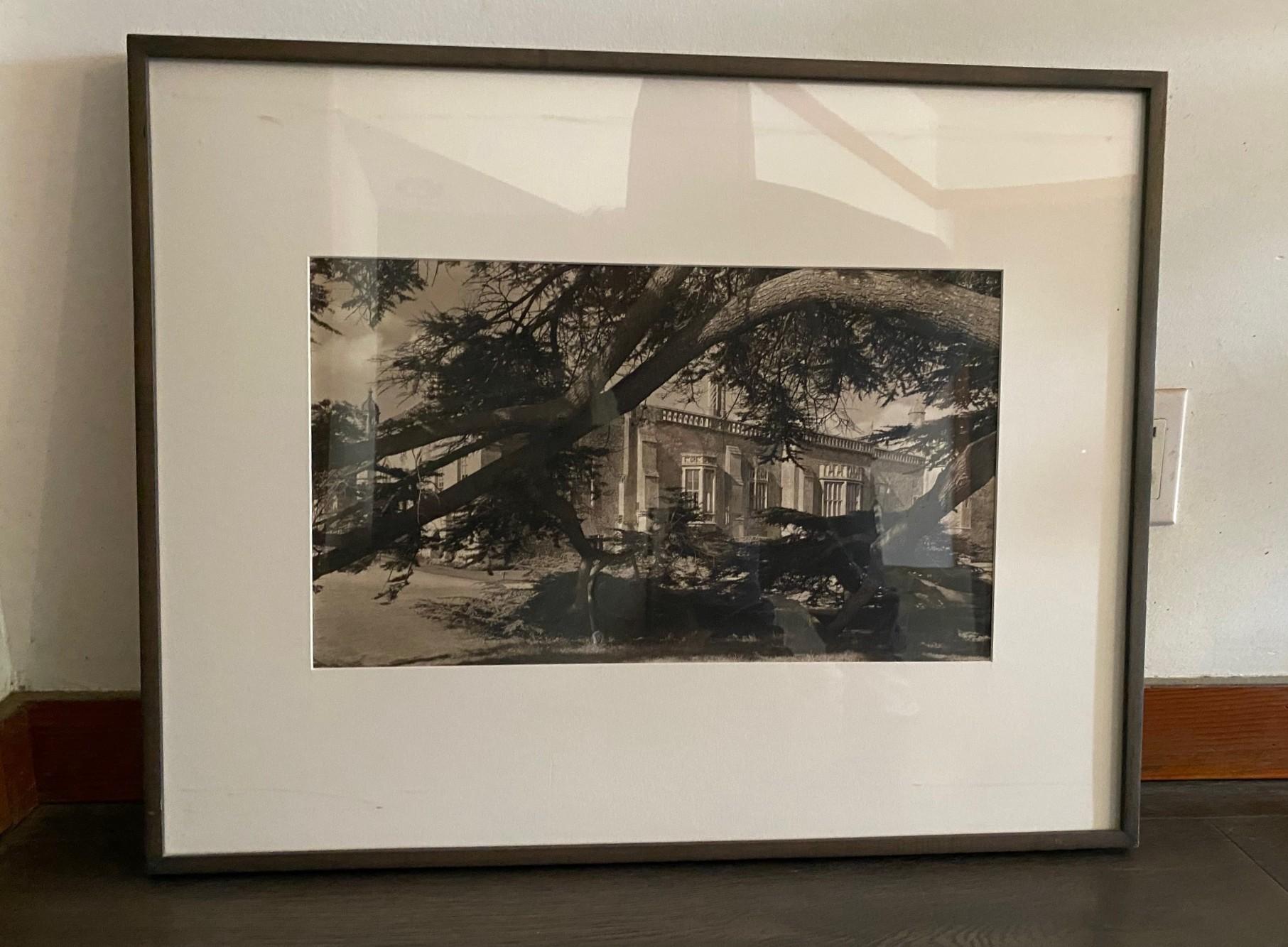 Un'accattivante fotografia di architettura californiana alla gelatina d'argento con un edificio di metà secolo incorniciato da un albero a cascata.  Una composizione molto accattivante.  Riteniamo che l'edificio nella fotografia possa provenire da