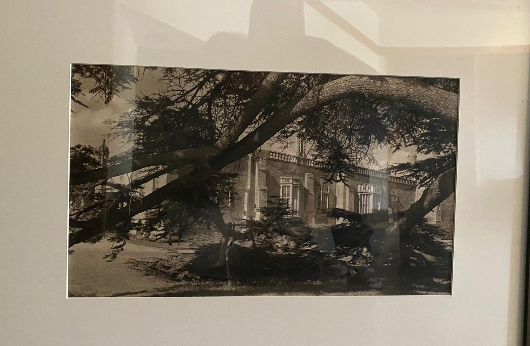 Mid-Century moderno Fotografia alla gelatina d'argento e seppia dell'architettura californiana di metà secolo in vendita