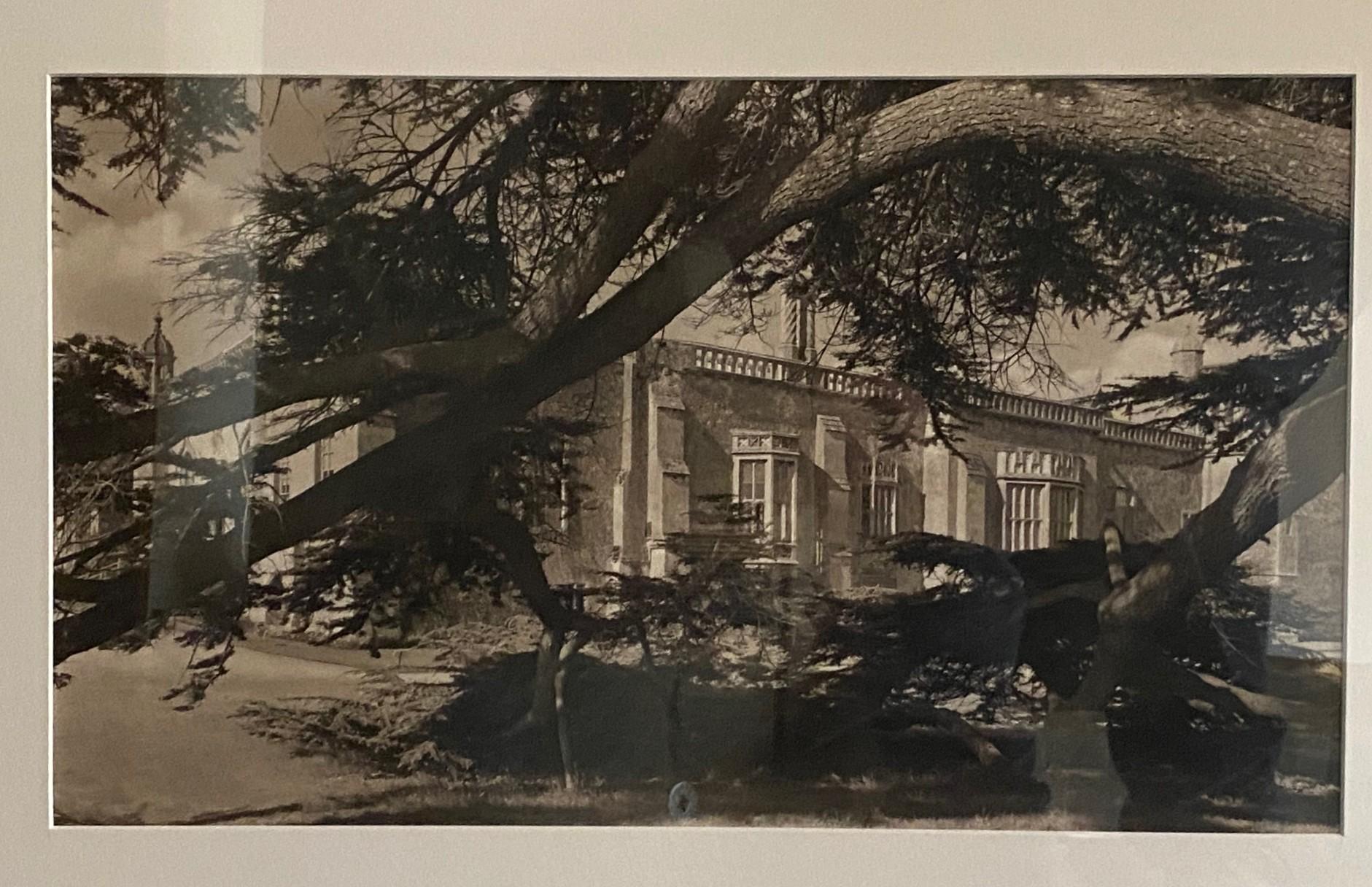 Americano Fotografia alla gelatina d'argento e seppia dell'architettura californiana di metà secolo in vendita