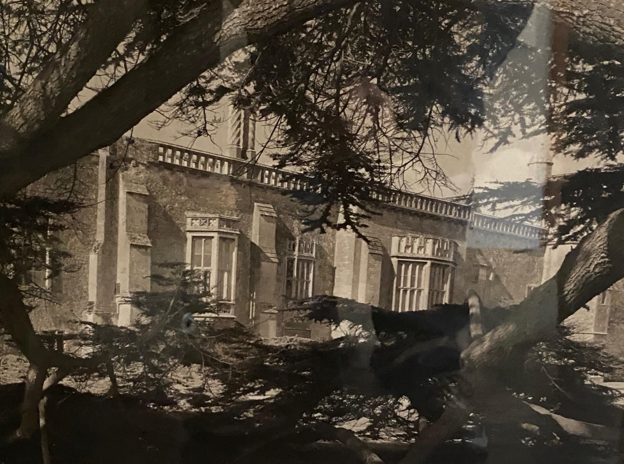 Fotografia alla gelatina d'argento e seppia dell'architettura californiana di metà secolo In condizioni buone in vendita a Studio City, CA