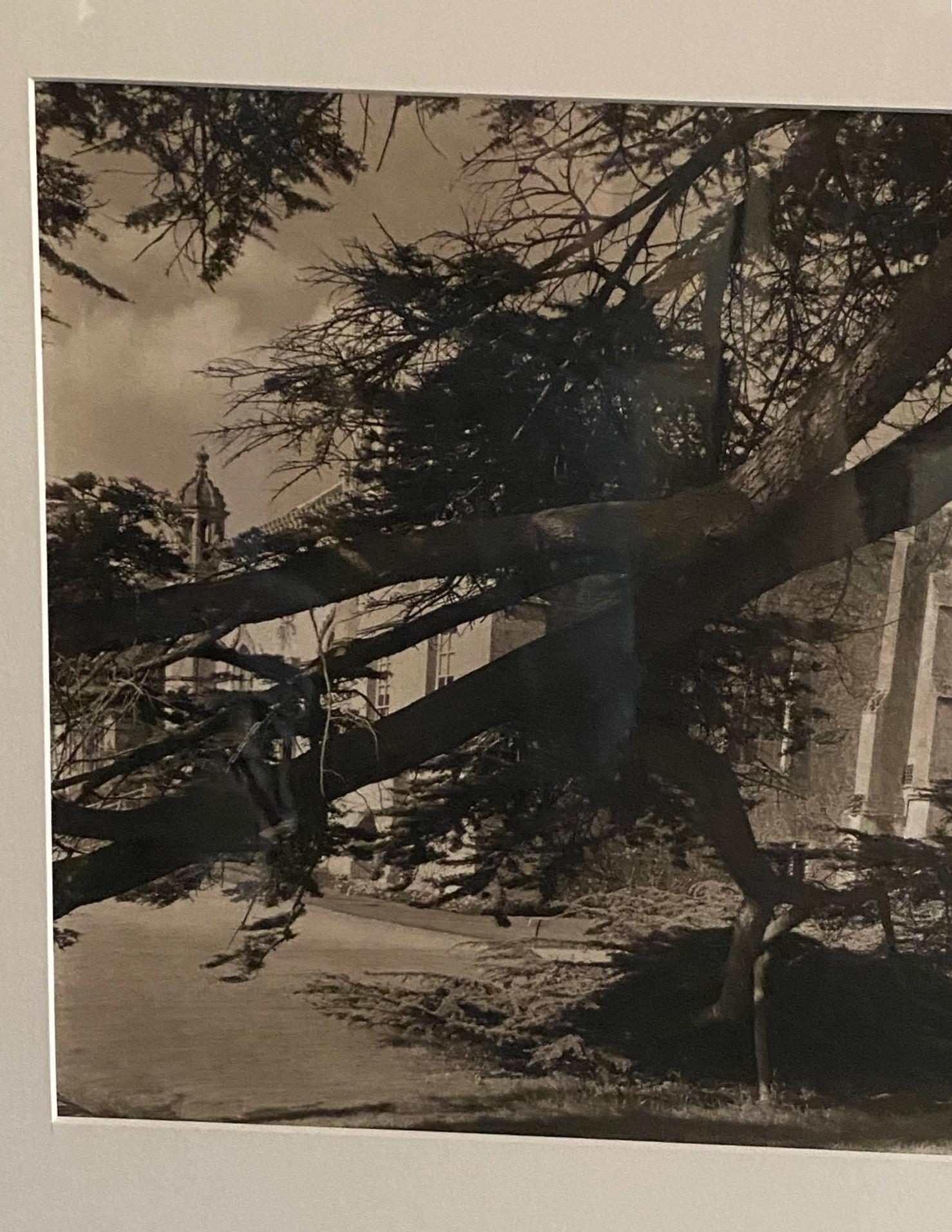 XX secolo Fotografia alla gelatina d'argento e seppia dell'architettura californiana di metà secolo in vendita