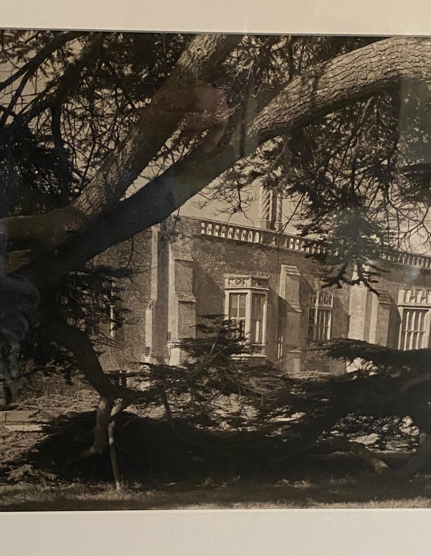 Legno Fotografia alla gelatina d'argento e seppia dell'architettura californiana di metà secolo in vendita