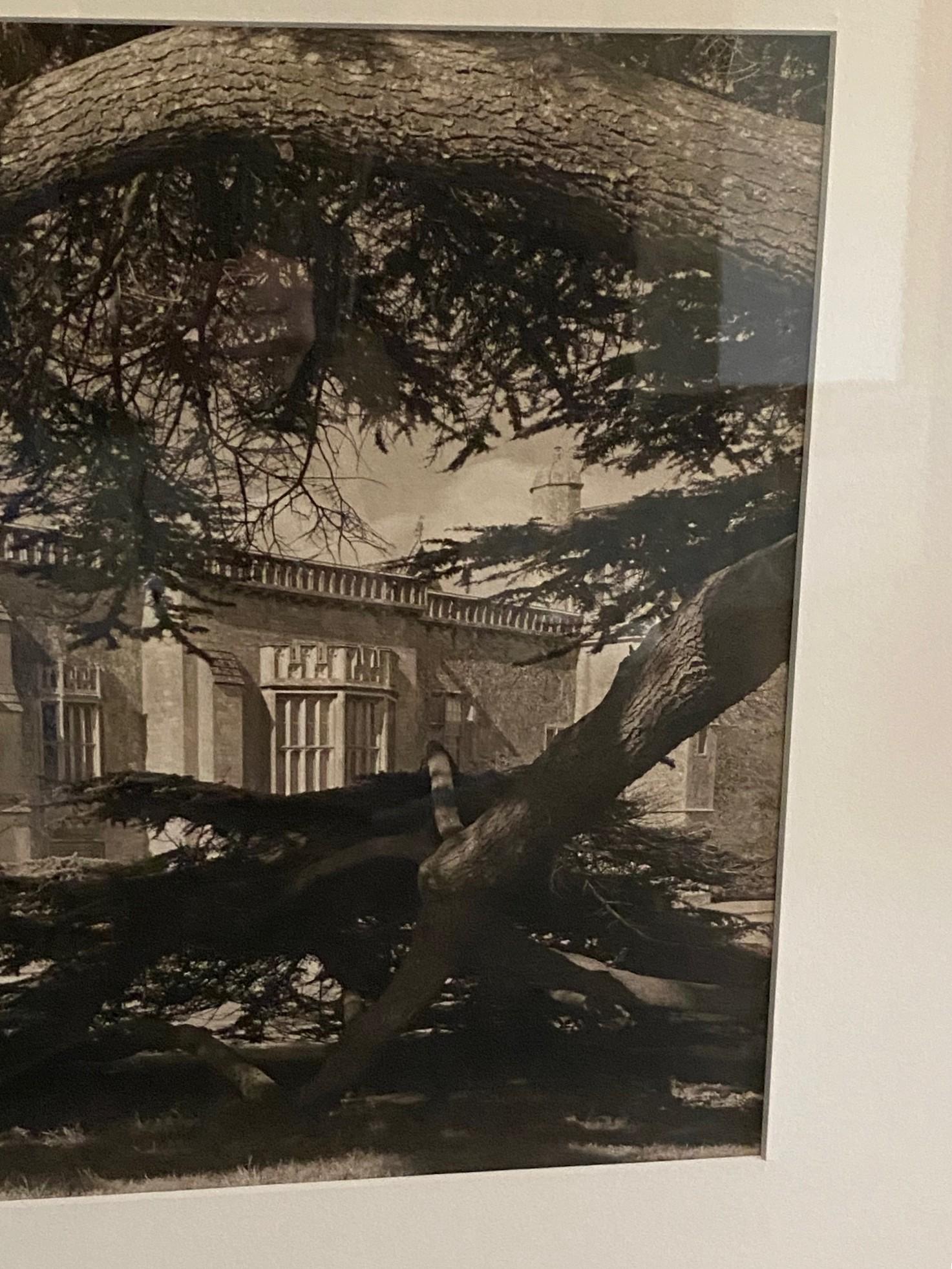 Fotografia alla gelatina d'argento e seppia dell'architettura californiana di metà secolo in vendita 1