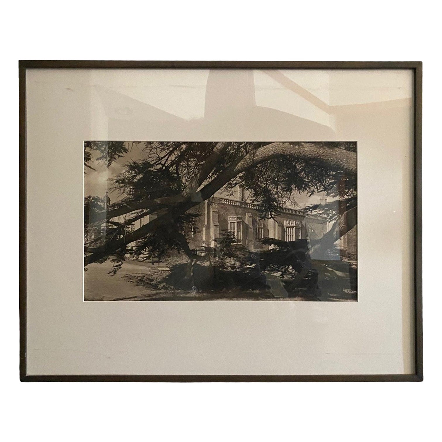 Fotografia alla gelatina d'argento e seppia dell'architettura californiana di metà secolo