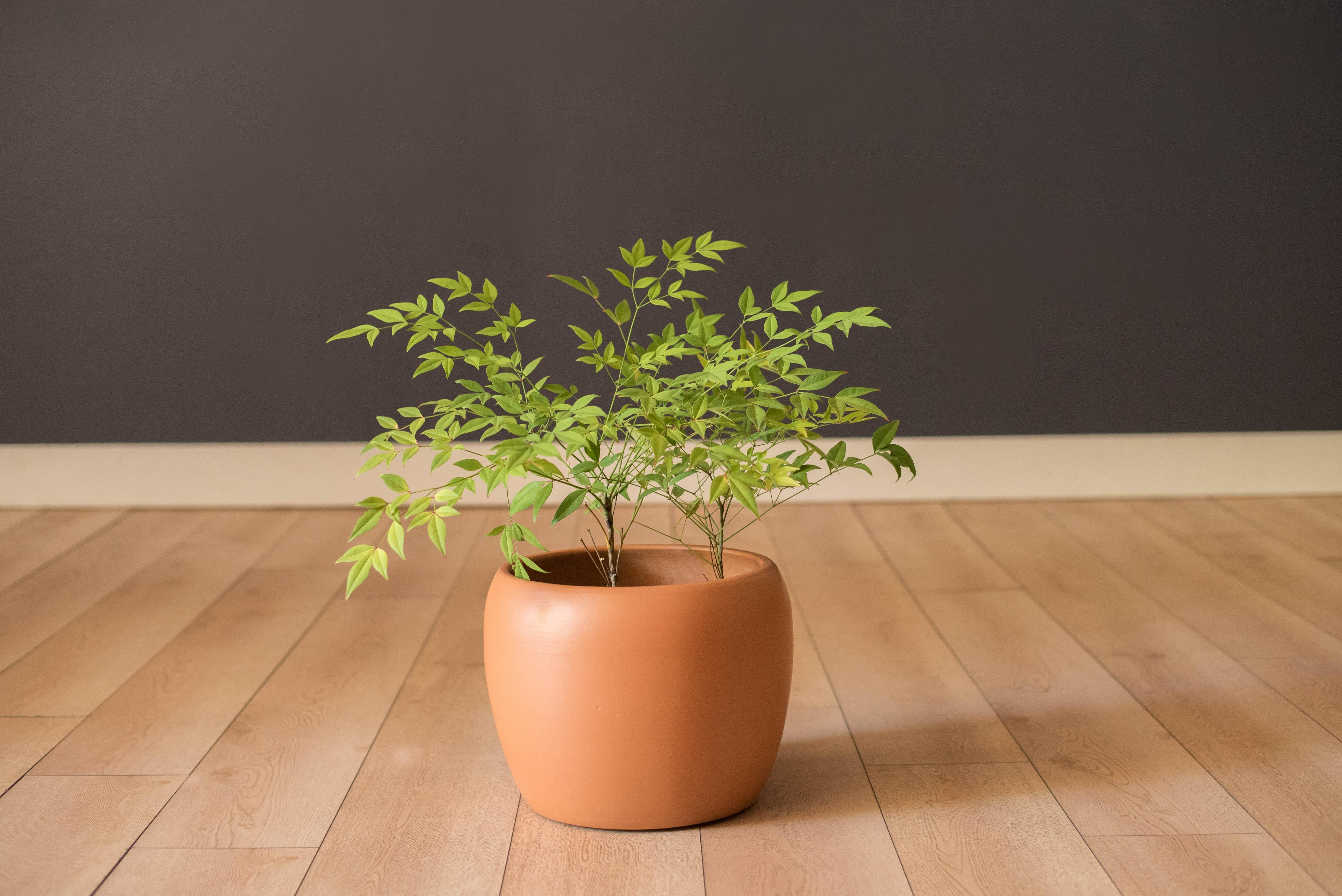 Mid Century Modern California Terra Cotta Planter Pot by Gainey Ceramics