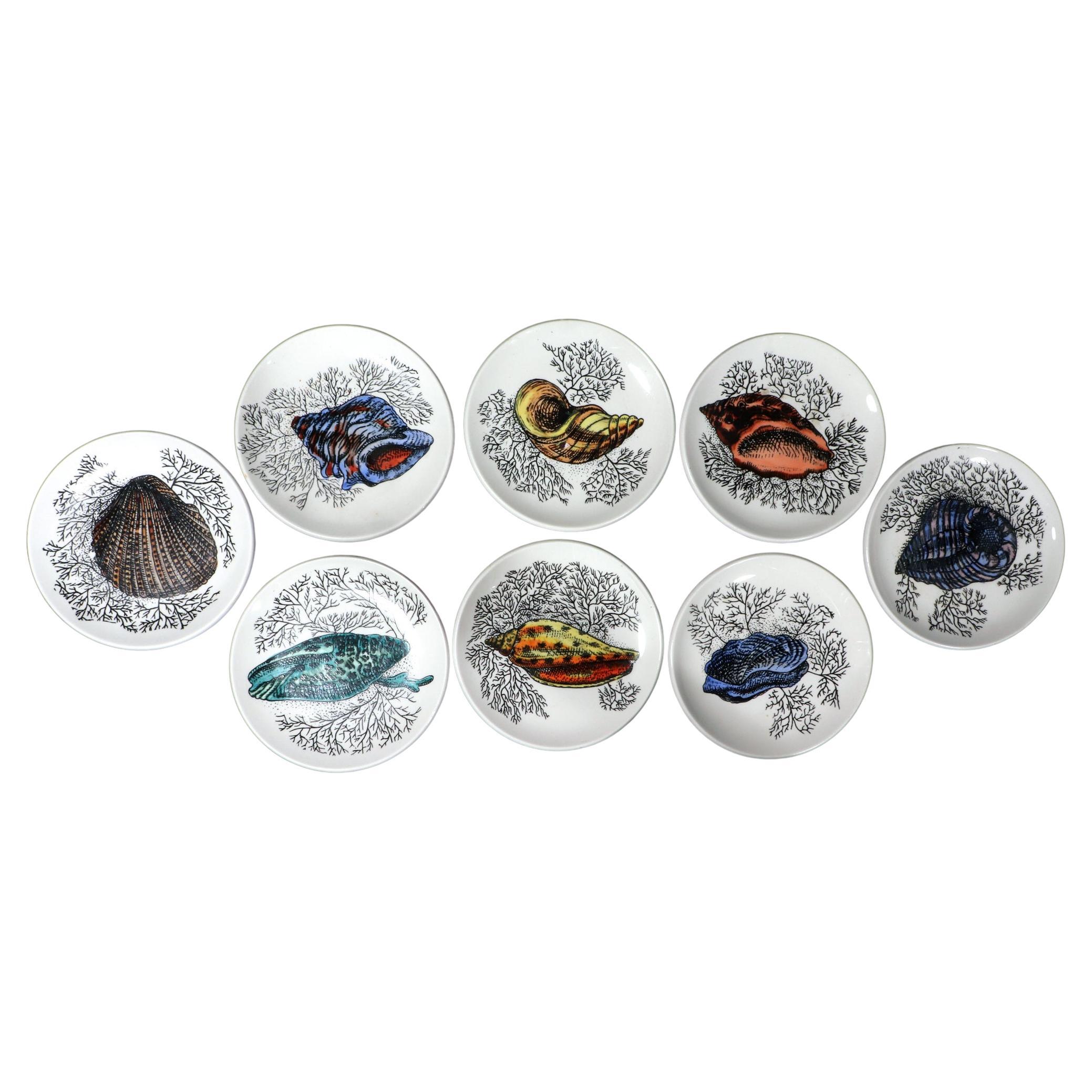 Des sous-verres en céramique modernes du milieu du siècle dernier décorés de coquillages de mer par Bucciarelli en vente