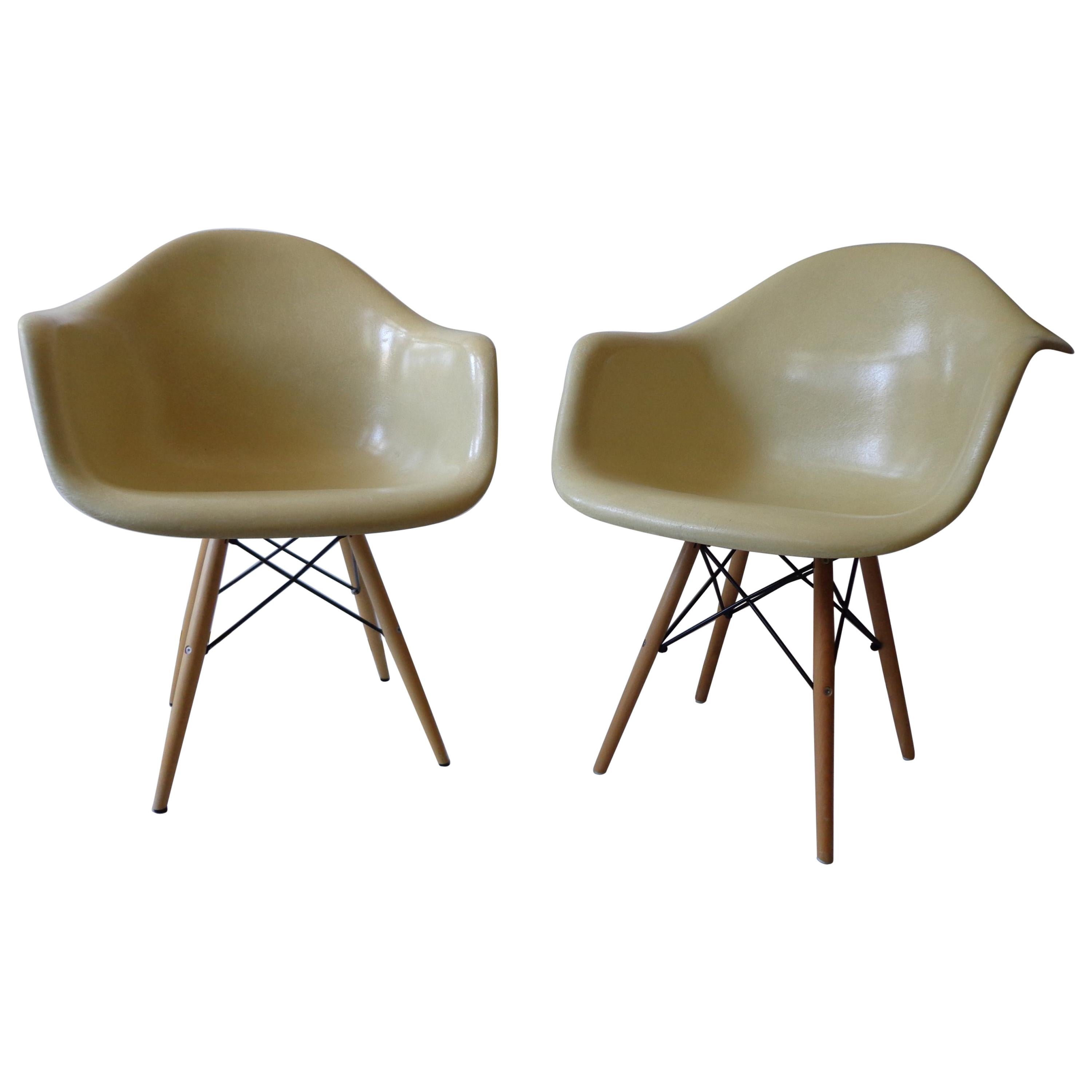 Mid-Century Modern Charles Eames Herman Miller Fiberglass Dining Chairs, 1960s For Sale