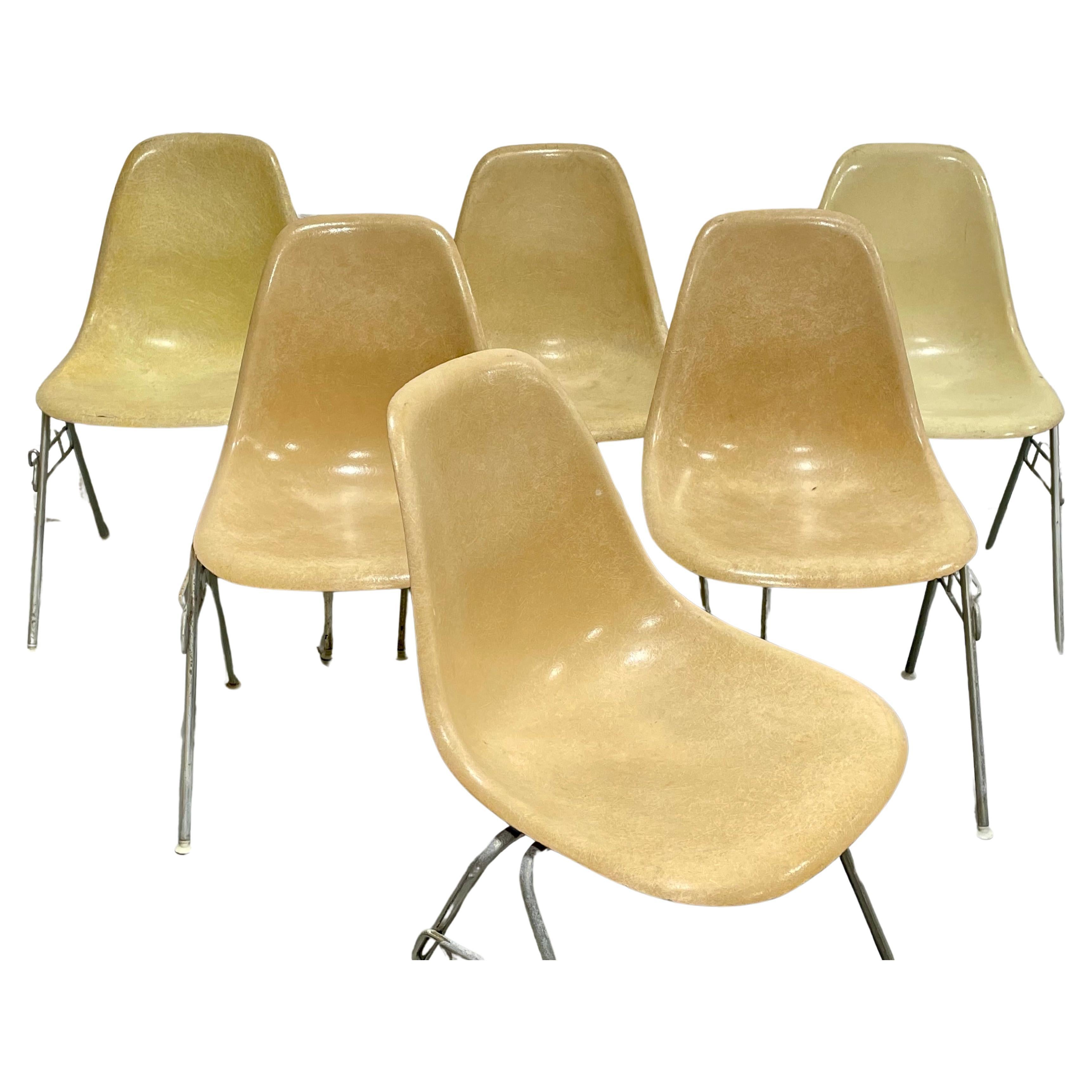 Mid Century Modern Charles & Ray Eames Herman Miller DSS Shell Chairs, Set of 6 For Sale