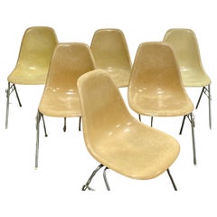 Retro Mid Century Modern Charles & Ray Eames Herman Miller DSS Shell Chairs, Set of 6