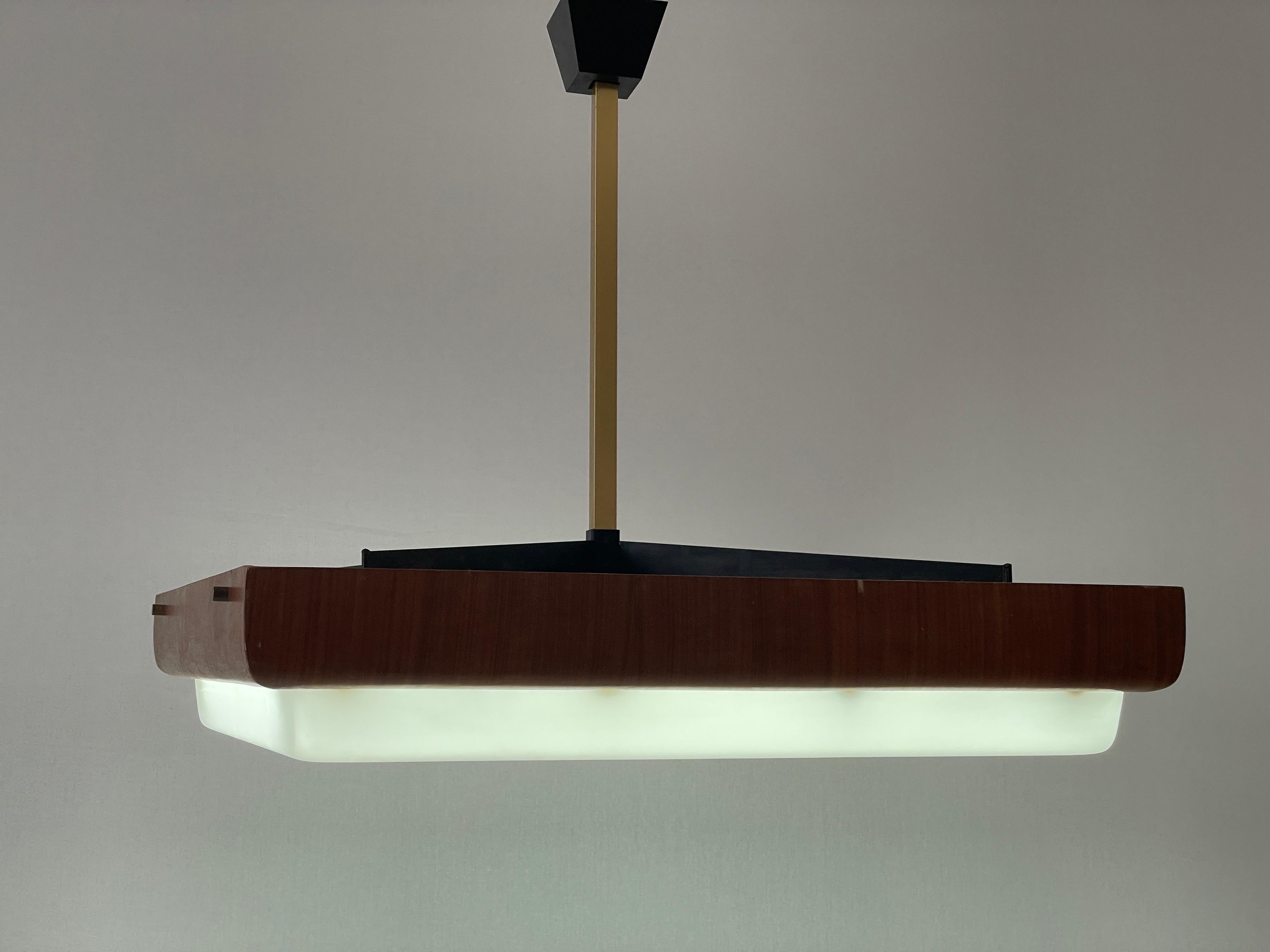 Lampada da soffitto per cinema-teatro moderna di metà secolo in Wood e Plexi, anni '50, Italia in vendita 5