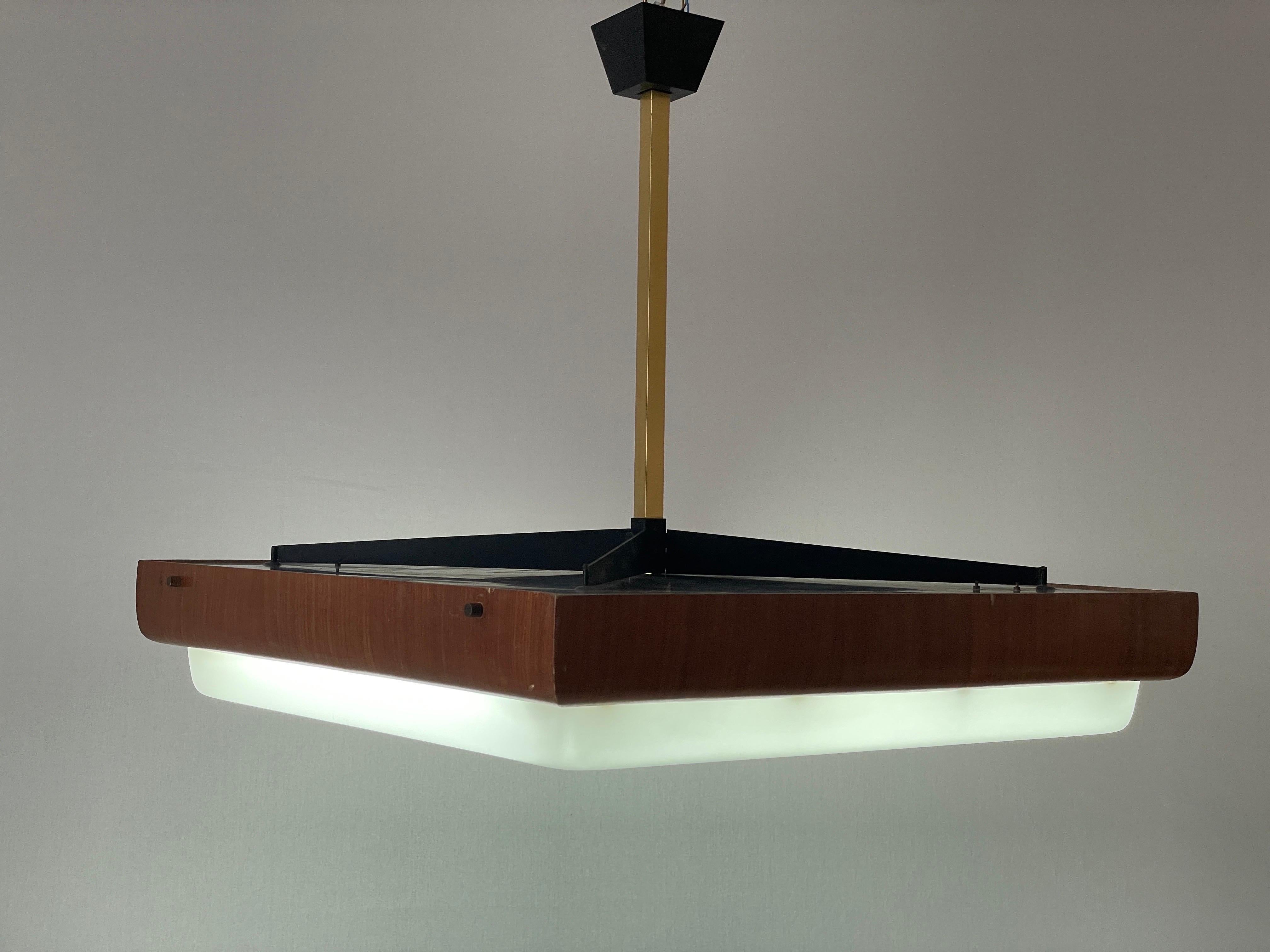 Lampada da soffitto per cinema-teatro moderna di metà secolo in Wood e Plexi, anni '50, Italia in vendita 6