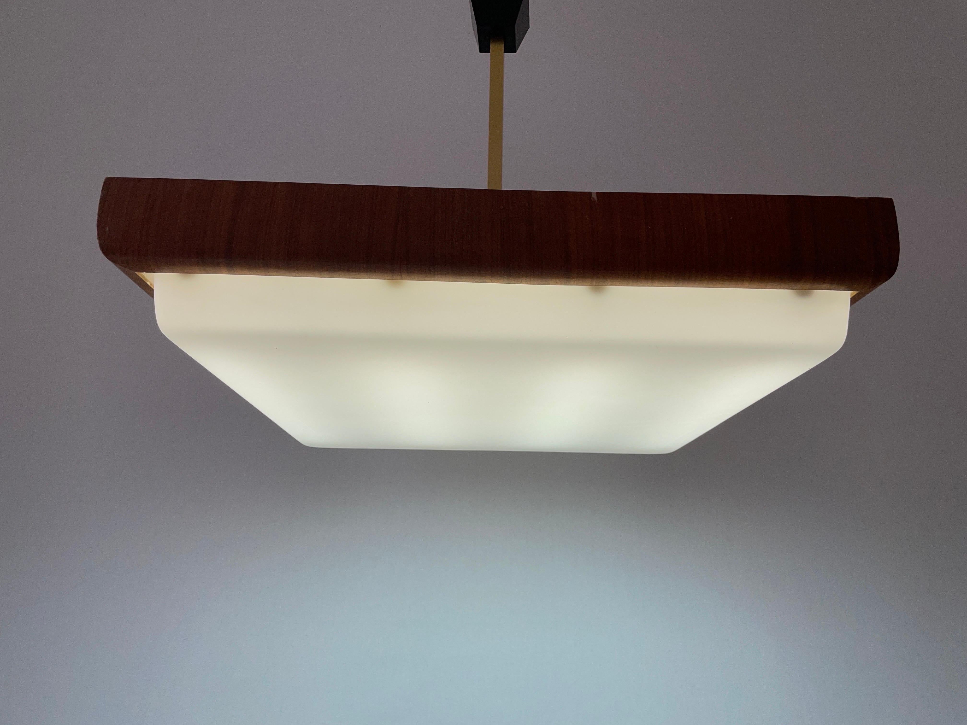 Lampada da soffitto per cinema-teatro moderna di metà secolo in Wood e Plexi, anni '50, Italia in vendita 8