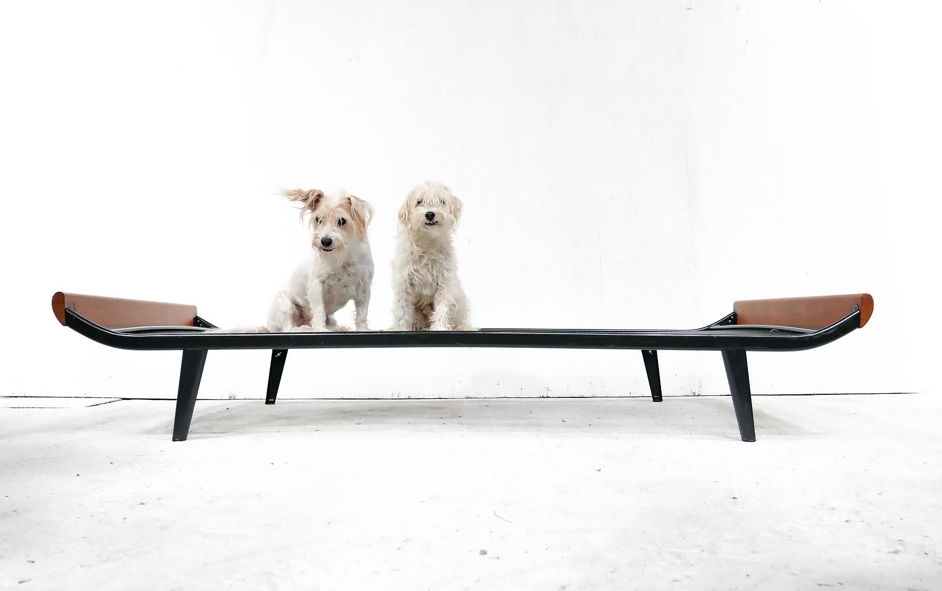 Beautiful daybeds designed by the Dutch designer Dick Cordemeijer for Auping.
The frames are grey and the top bar's are made from solid teak.
In very good condition seen there age.

A.R. (Dick) Cordemeijer
Andre Robert (Dick) Cordemeijer, born