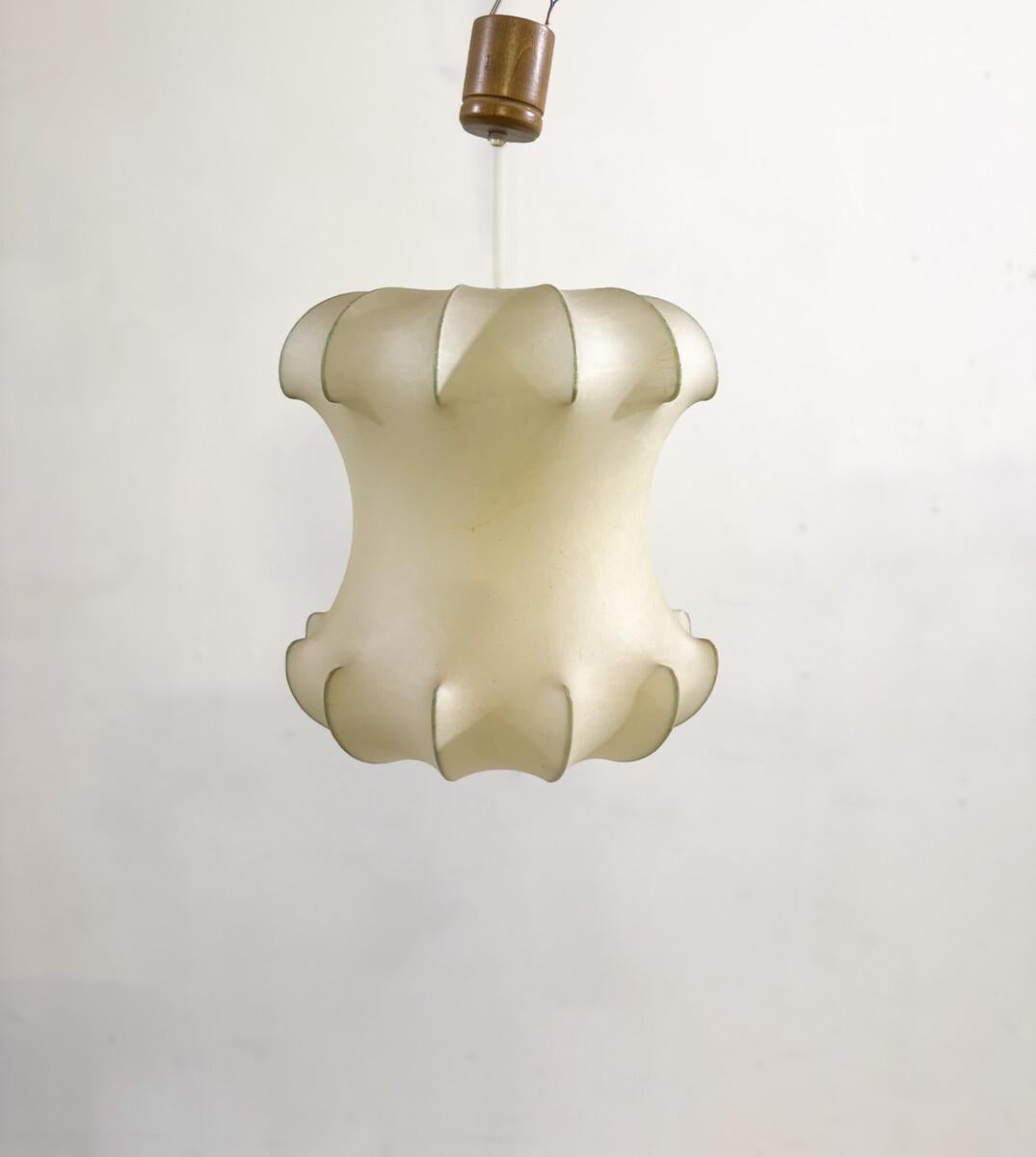 Resin Mid-Century Modern Cocoon Pendant Lamp by Achille Castiglioni, Italy , 1960s For Sale