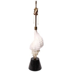 Retro Mid-Century Modern Conch Seashell Table Lamp