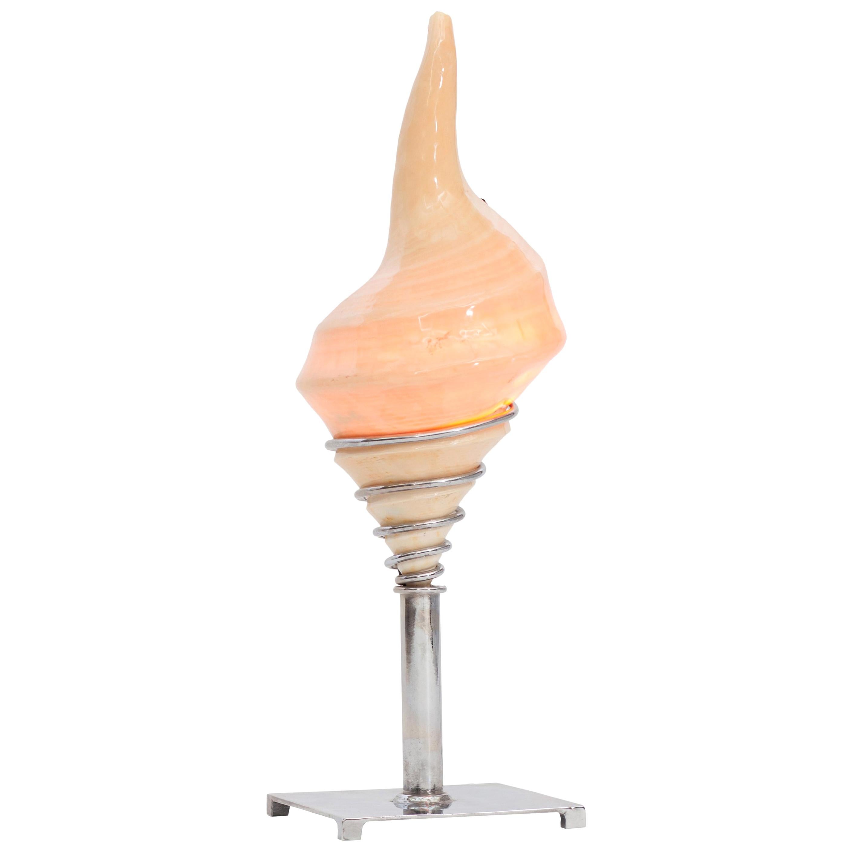 Mid-Century Modern Conch Shell Lamp For Sale