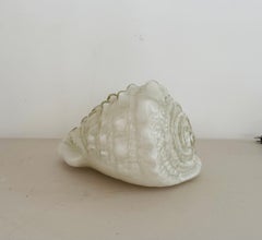Mid century Modern " Conch Shell"Table Lamp in Murano Glass, Italy circa 1960