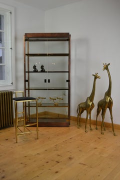 Mid-Century Modern Copper and Brass Belgo Chrome Showcase Vitrine, 1970s