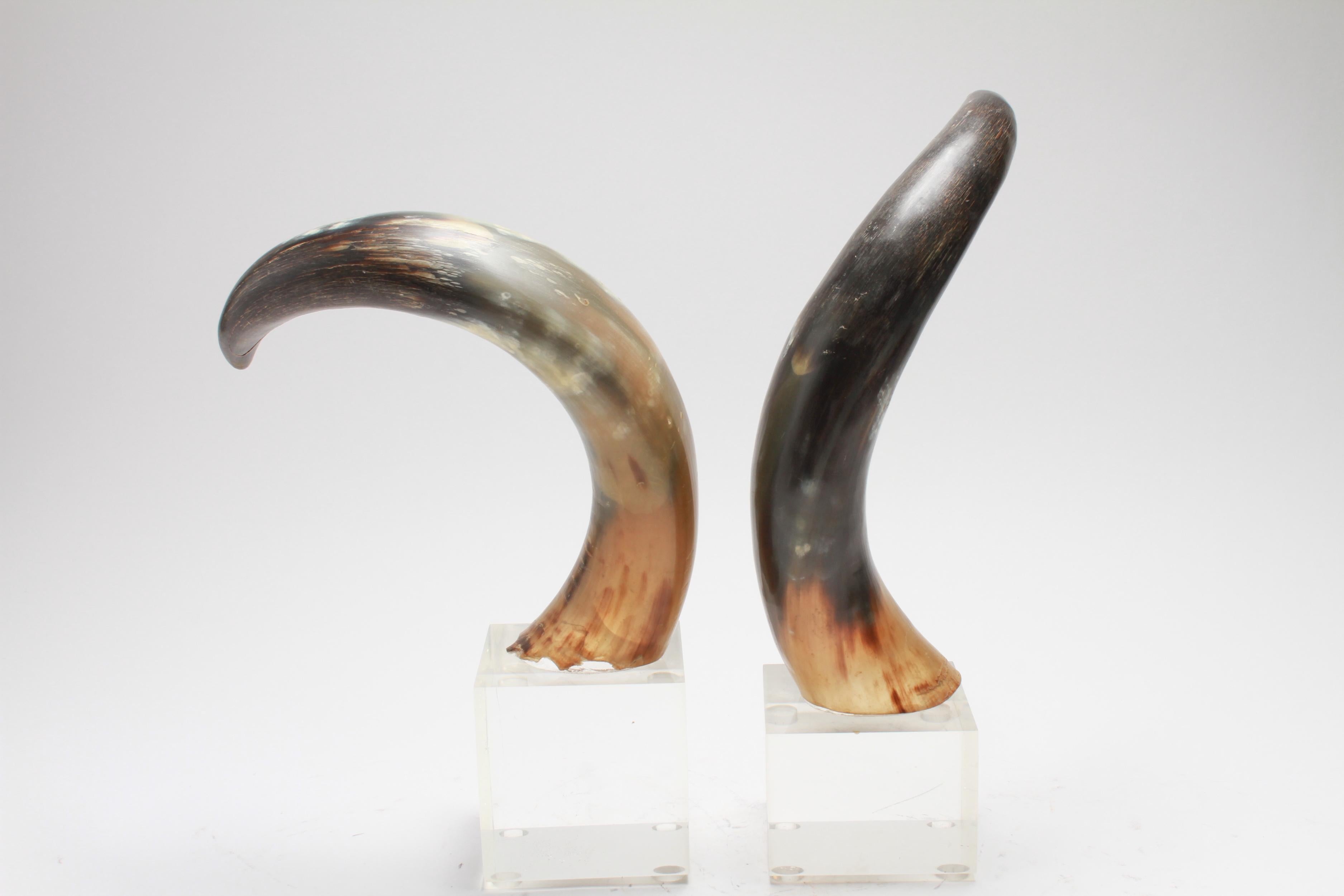 Mid-Century Modern pair of bookends in the shape of cow horns mounted on square acrylic bases. The pair is in great vintage condition with age-appropriate wear and use.
