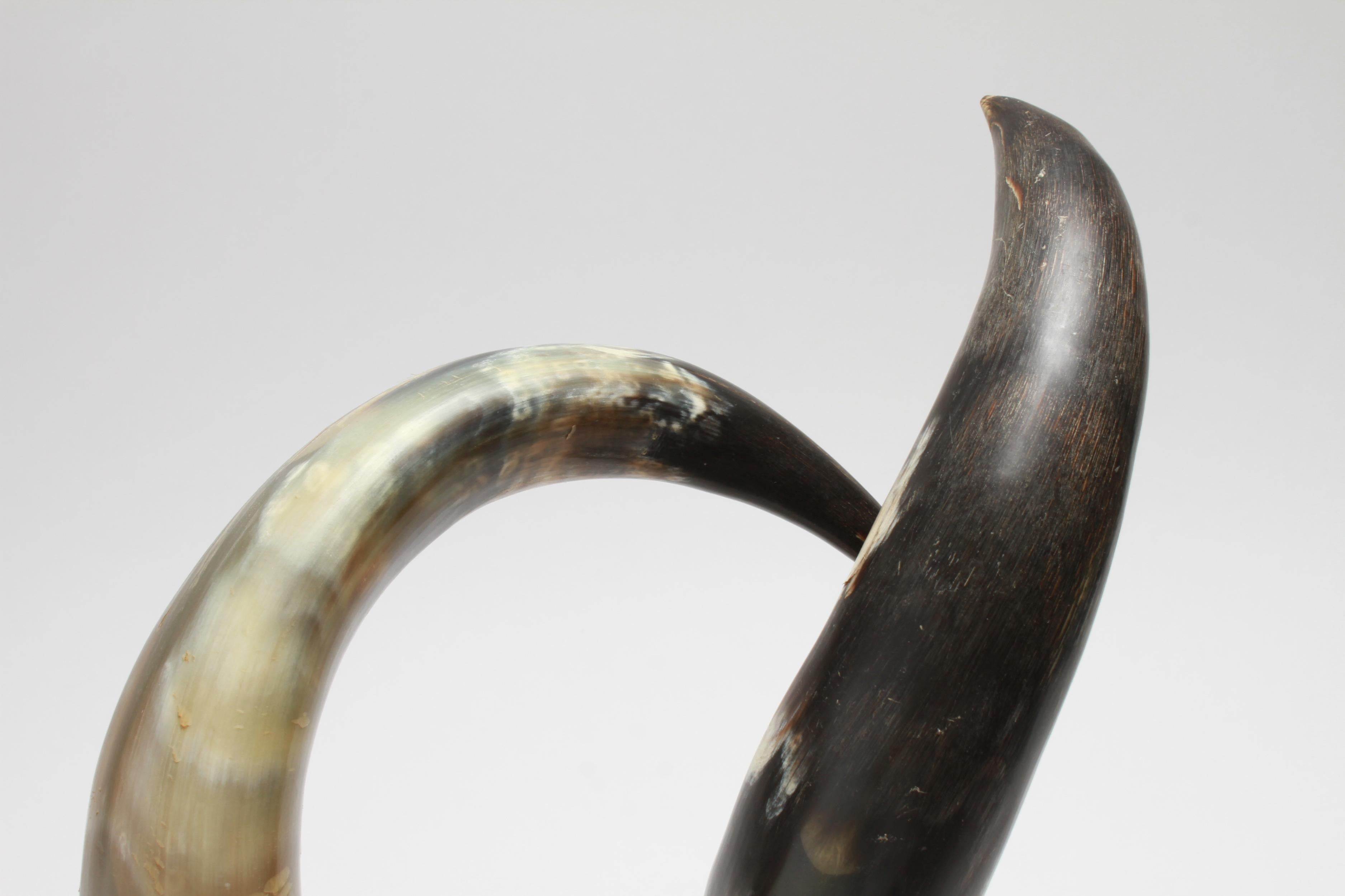 Mid-Century Modern Cow Horn Bookends on Acrylic Bases In Good Condition In New York, NY
