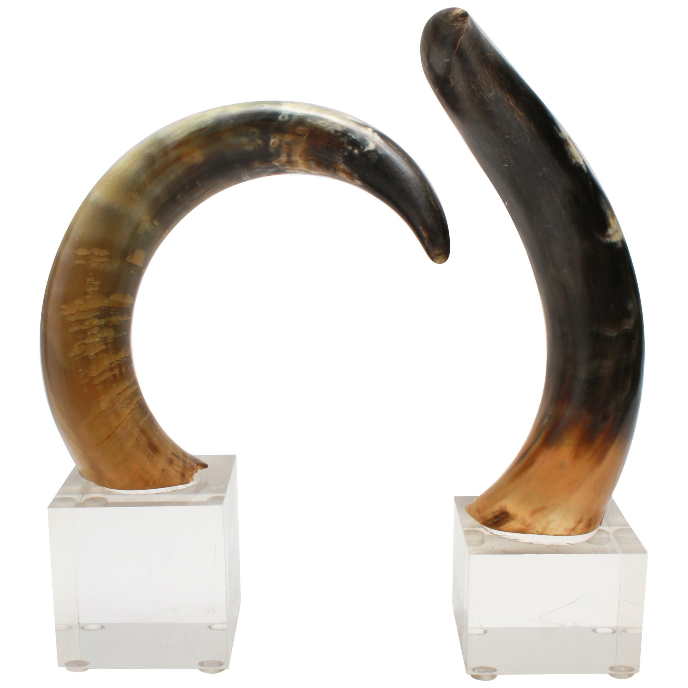 Mid-Century Modern Cow Horn Bookends on Acrylic Bases