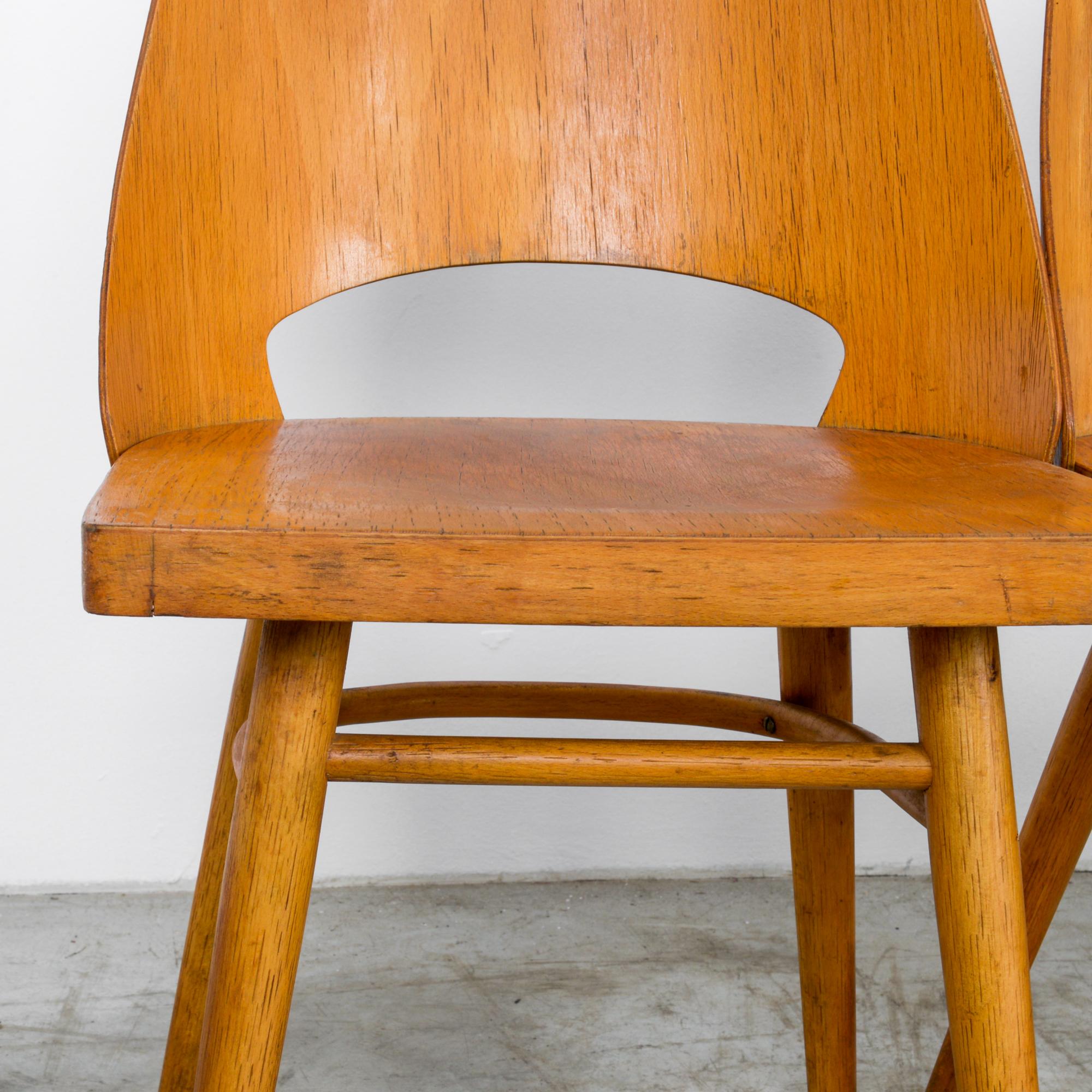 Mid-Century Modern Czech Dining Chairs, Set of Six 5