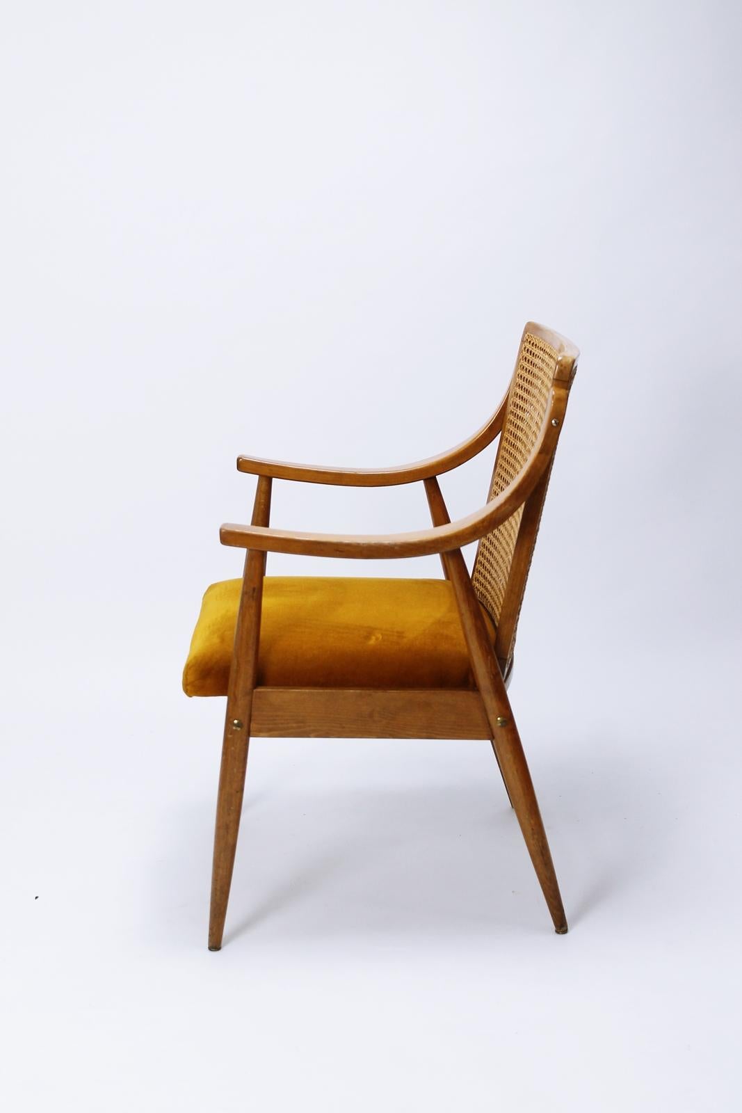 Velvet Mid-Century Modern  Danish Style Cane Back Armchair 1960s