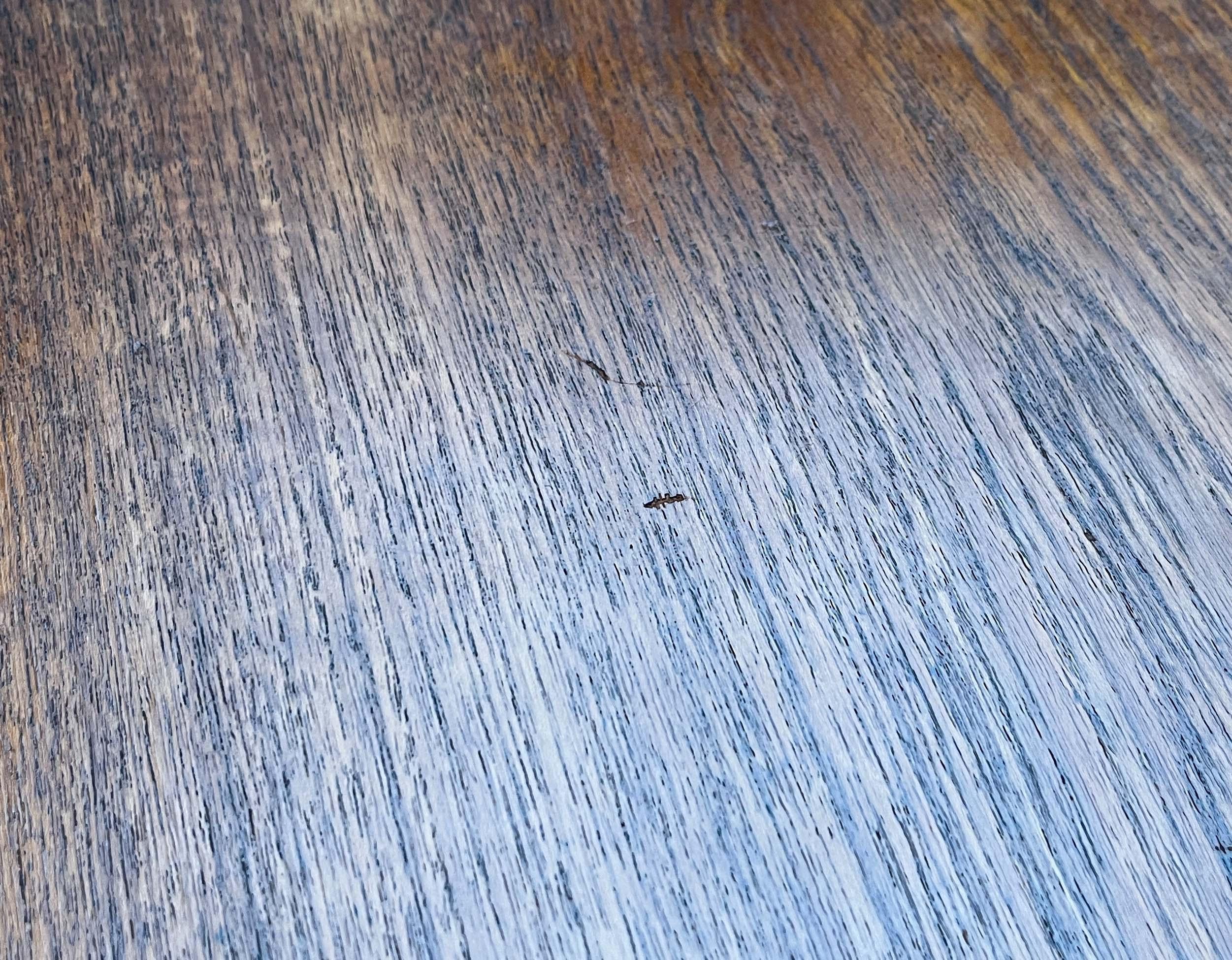 Tavolino da caffè in teak danese moderno di metà secolo, anni '60 in vendita 13