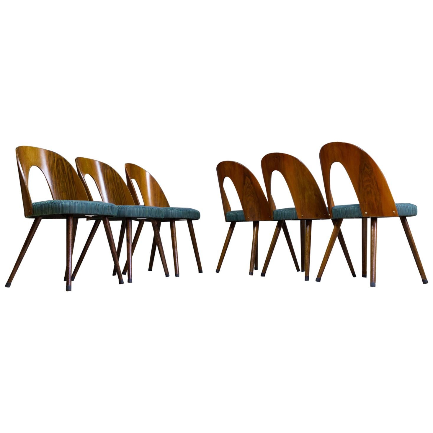 Mid-Century Modern Dining Chair Bent Plywood Back in by Antonin Šuman