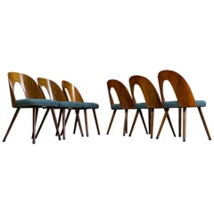 Mid-Century Modern Dining Chair Bent Plywood Back in by Antonin Šuman