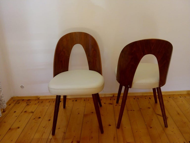 Veneer Mid Century Modern Dining Chair by Antonin Suman for Tatra For Sale