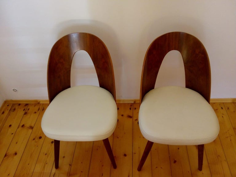 Mid Century Modern Dining Chair by Antonin Suman for Tatra In Excellent Condition For Sale In Vienna, AT