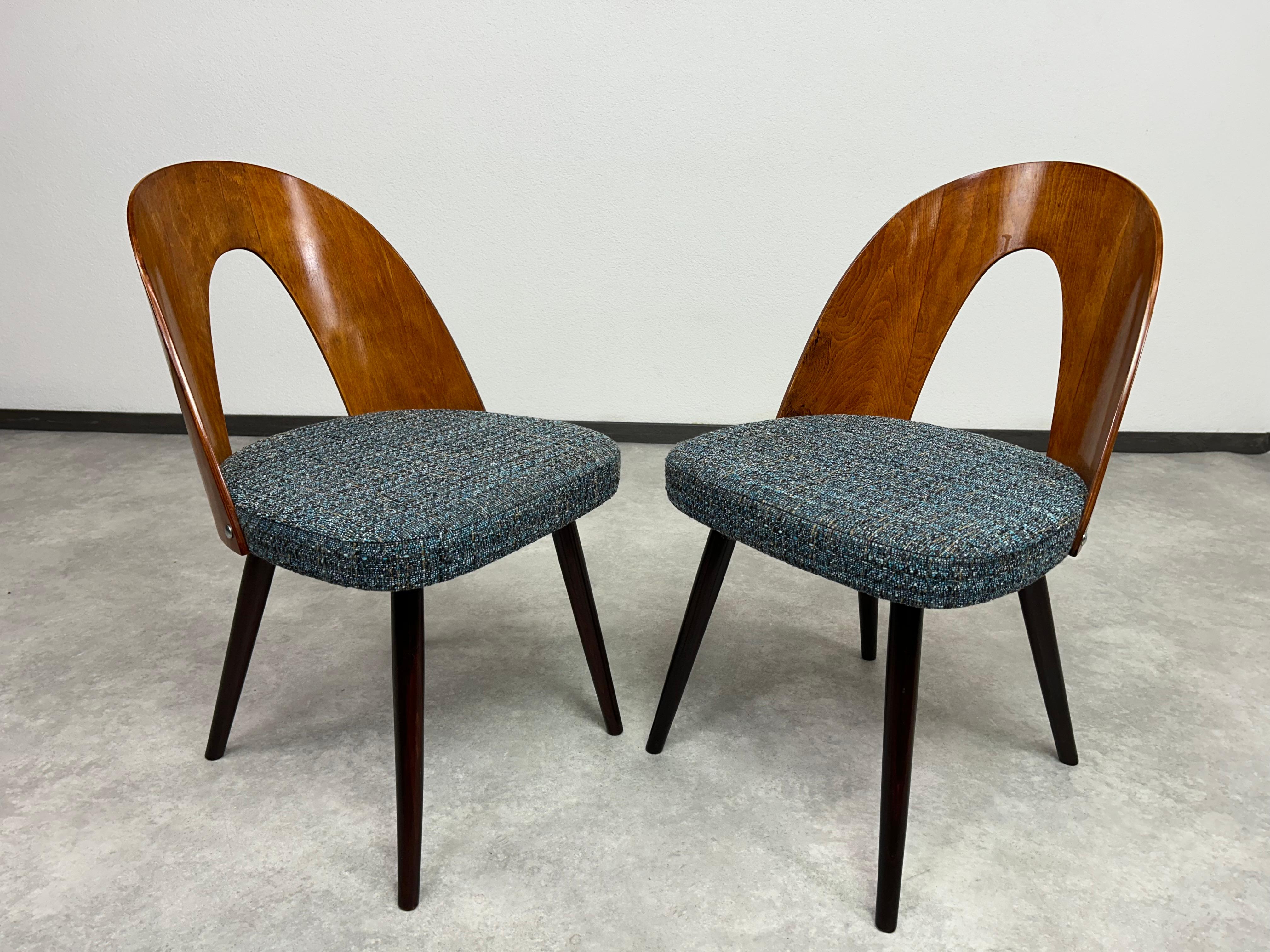 Mid-century modern dining chairs by Antonín Šuman for Tatra Nábytok Pravenec. Professionally stained and repolished with new fabric.