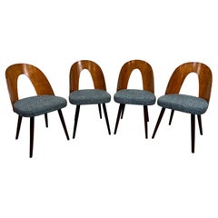 Sillas de comedor modernas de mediados de siglo de Antonín Šuman para Tatra nábytok Pravenec
