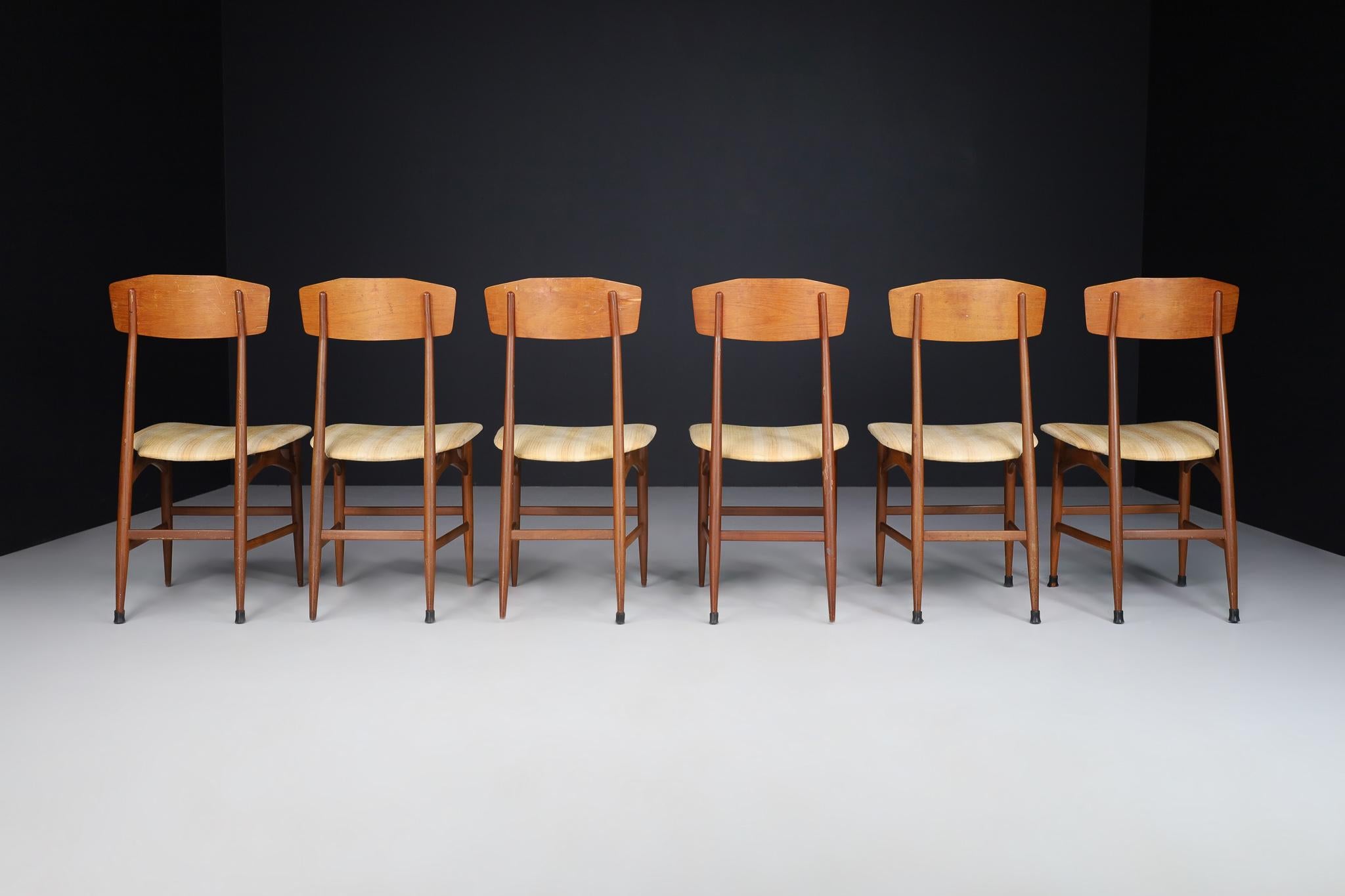 Mid-Century Modern Dining Chairs by Silvio Cavatorta, Italy 1950s For Sale 4
