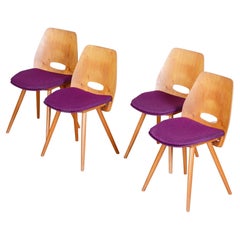 Sillas de comedor modernas de mediados de siglo, diseñadas por František Jirák para Tatra Nábytok