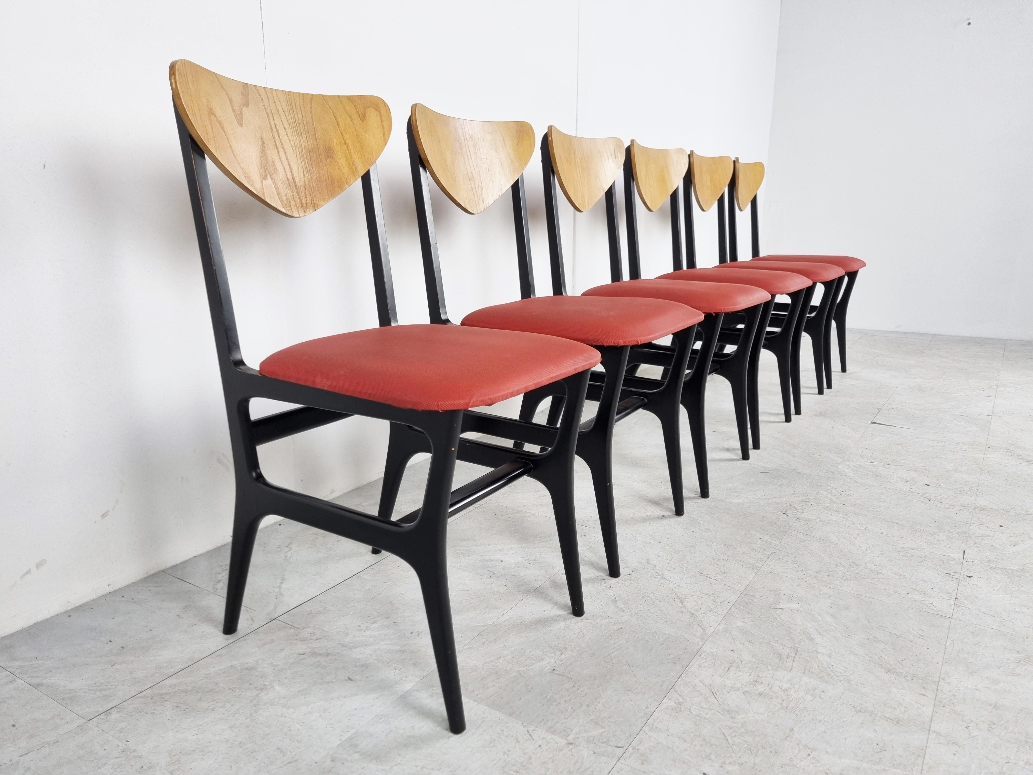 Belgian Mid Century Modern Dining Chairs, Set of 6 - 1950s