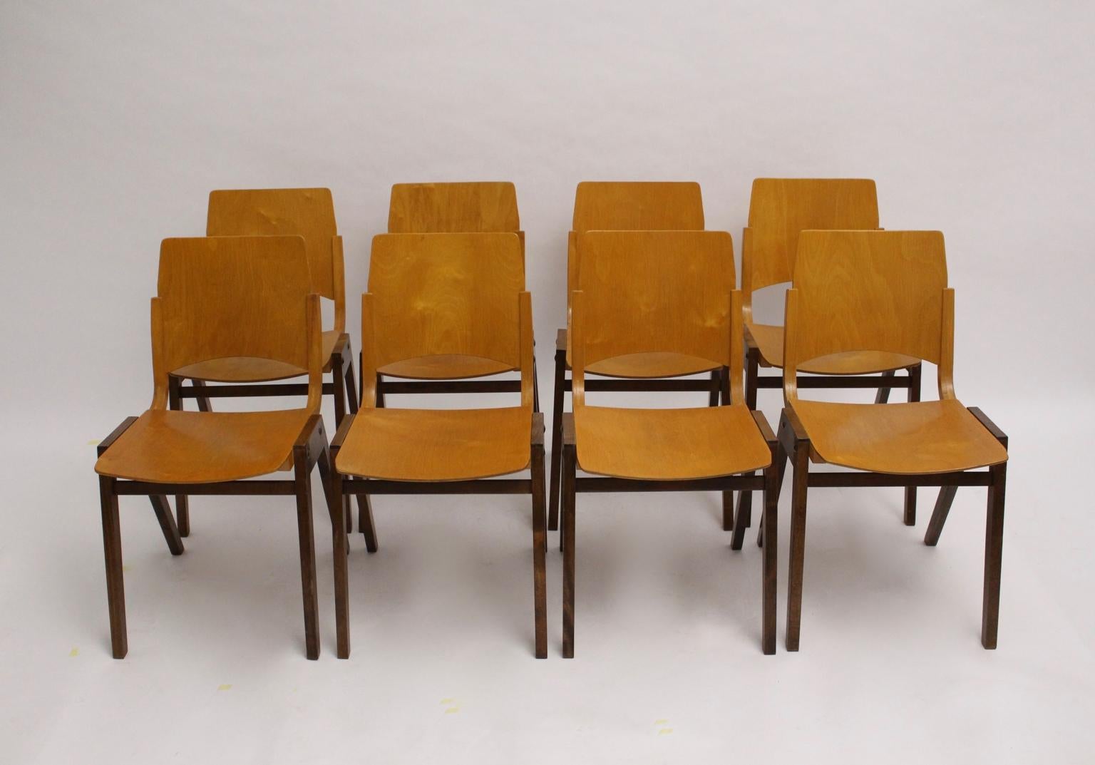 Mid Century Modern zeitloses Set von acht Vintage Esszimmerstühlen Modell P7 aus Buche entworfen von Roland Rainer für die Wiener Stadthalle 1952 und ausgeführt von Emil & Alfred Pollak Wien.
Diese Stühle wurden für den Bühnenbereich der Wiener