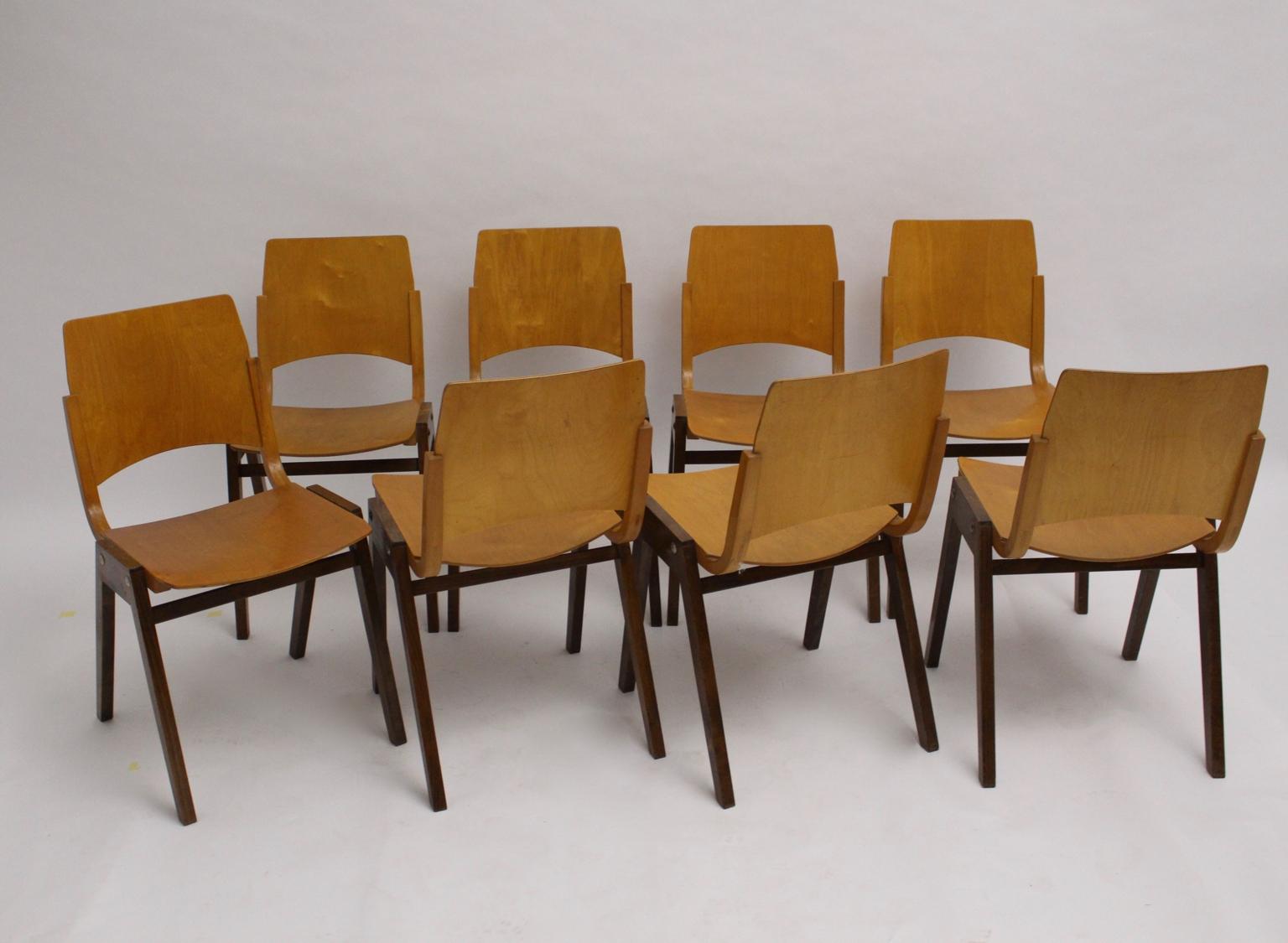Mid-Century Modern Bicolor-Esszimmerstühle aus Buche Roland Rainer Österreich 1952 (Moderne der Mitte des Jahrhunderts) im Angebot