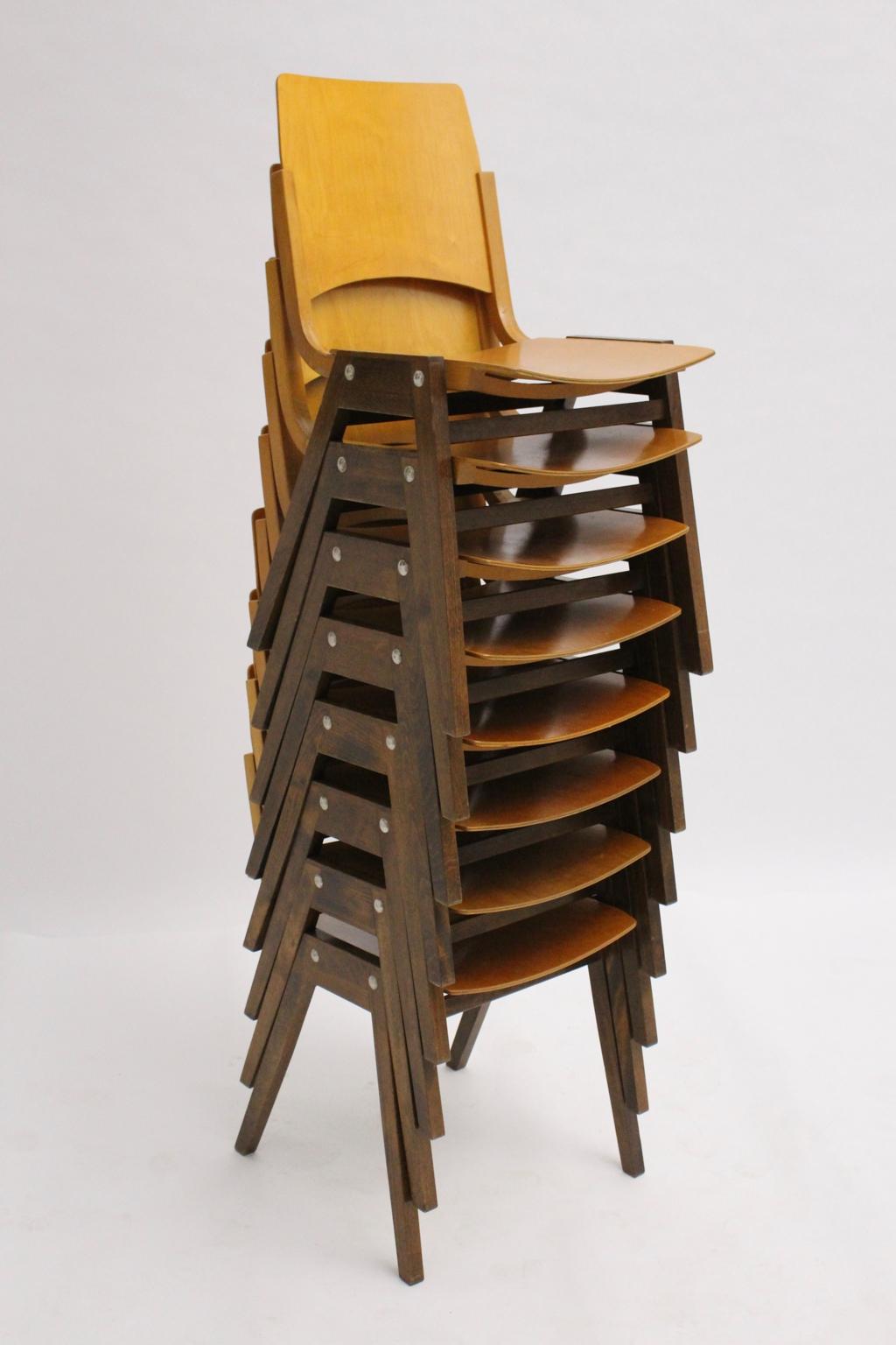 Mid-Century Modern Beech Bicolor Dining Room Chairs Roland Rainer Austria 1952 In Good Condition For Sale In Vienna, AT