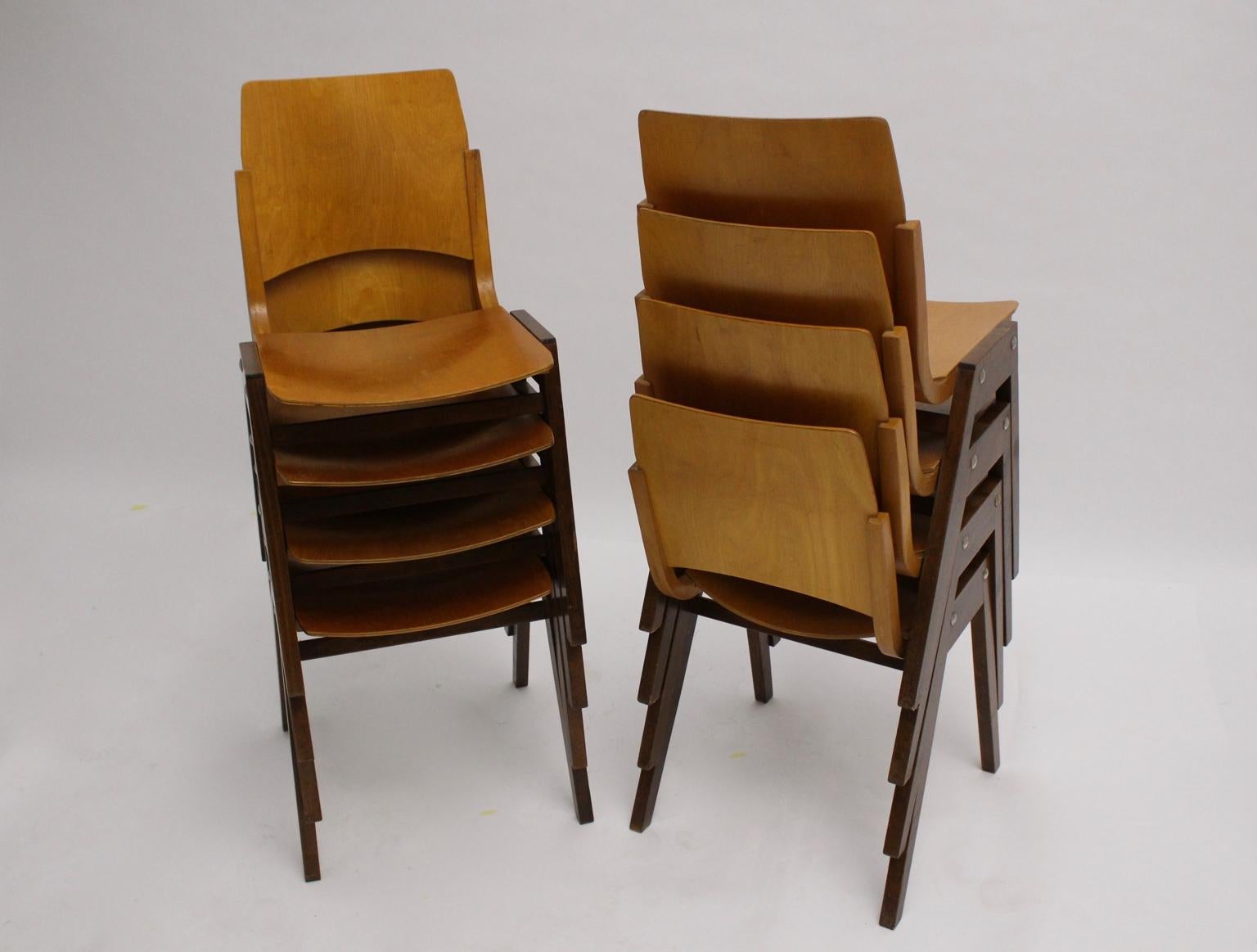 Mid-Century Modern Beech Bicolor Dining Room Chairs Roland Rainer Austria 1952 For Sale 1