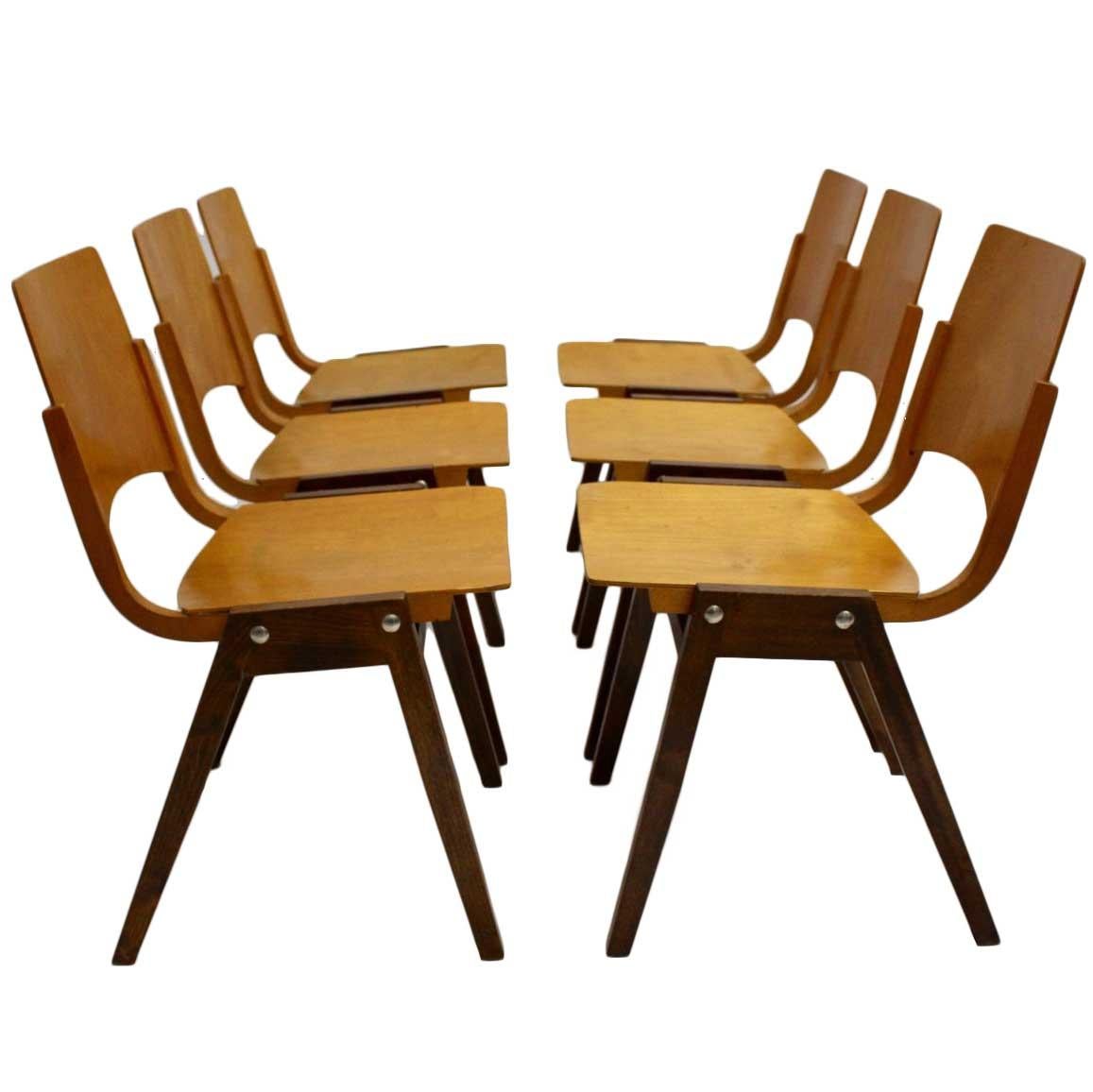 Mid-Century Modern Beech Bicolor Dining Room Chairs Roland Rainer Austria 1952