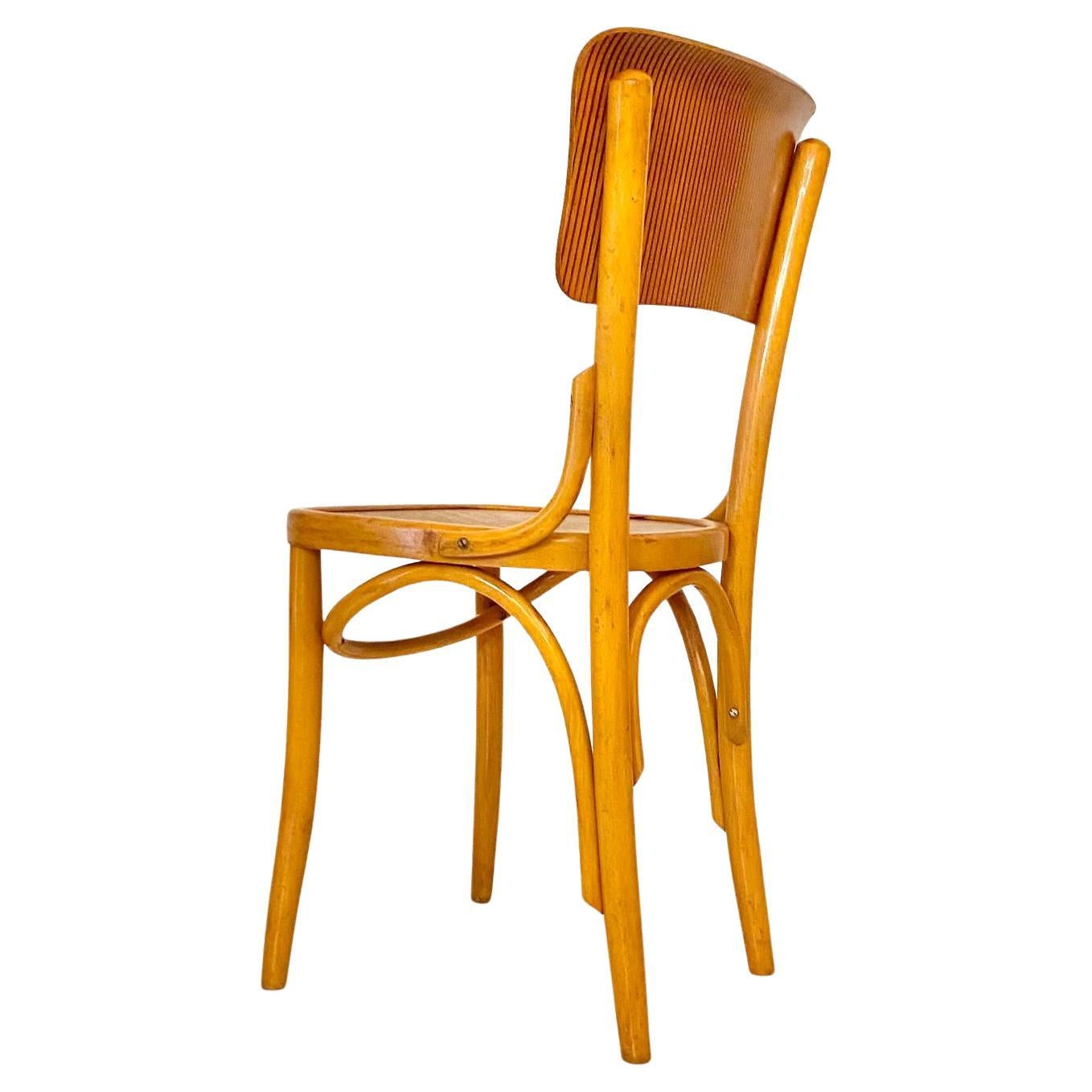 Mid Century Modern Dining Room Zebra Wood Chairs, set of  six, Italy 1950s For Sale 3