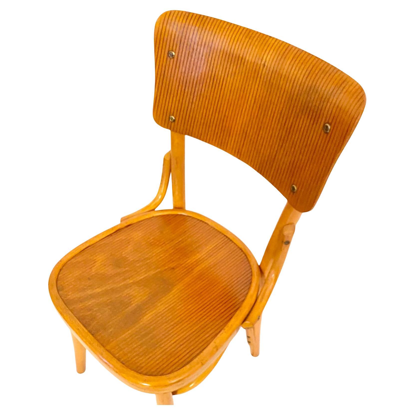 Mid Century Modern Dining Room Zebra Wood Chairs, set of  six, Italy 1950s For Sale 5